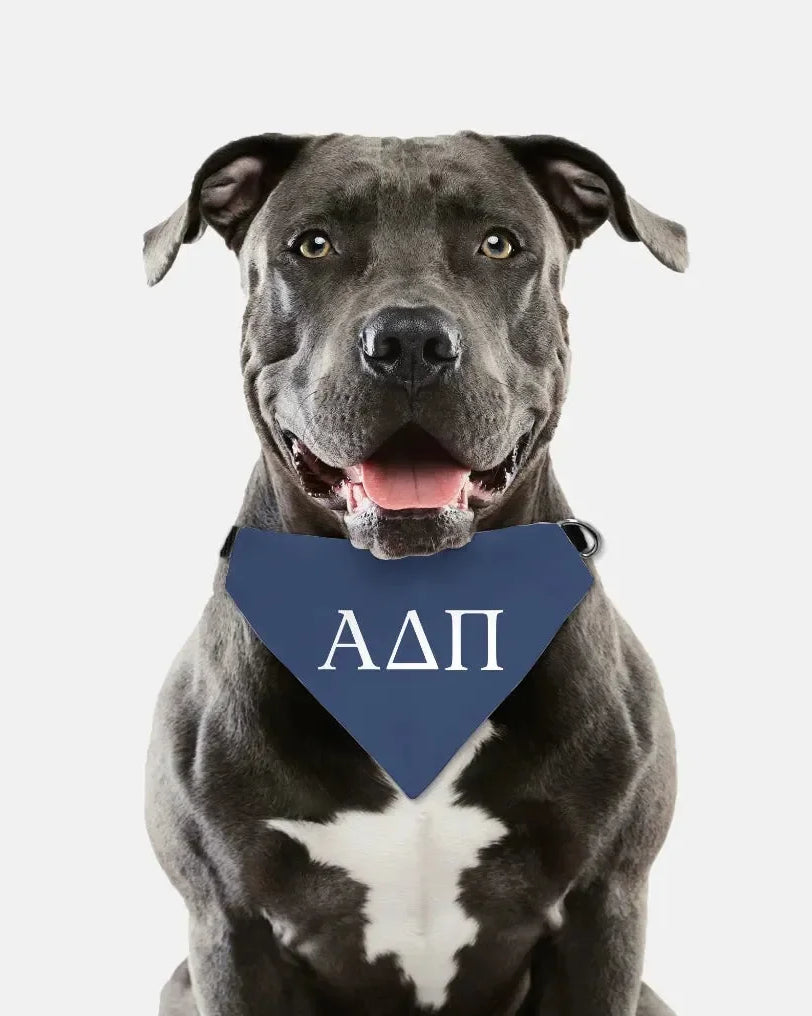 Alpha Delta Pi Pet Bandana - Greek Letters Pet Bandanas