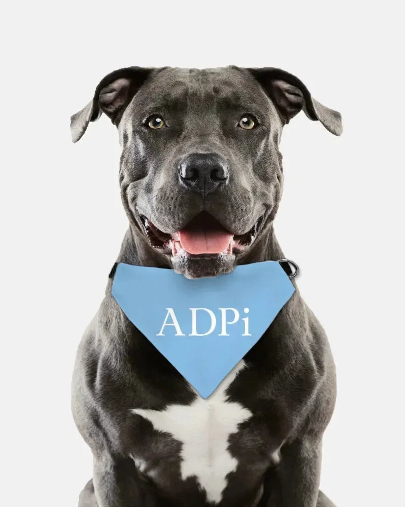ADPi Pet Bandana Pet Bandanas