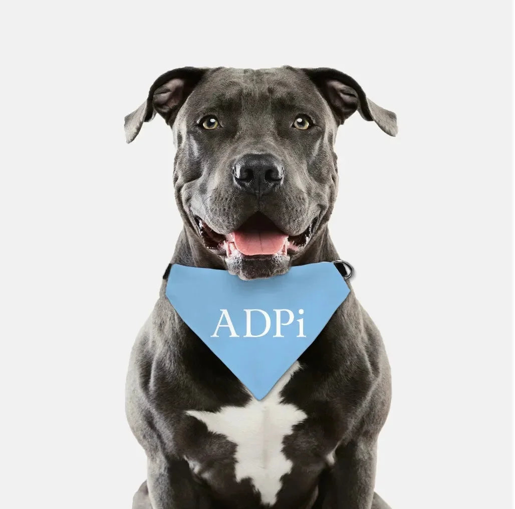 ADPi Pet Bandana Pet Bandanas