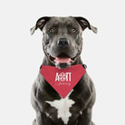 Alpha Omicron Pi Pet Bandana Pet Bandanas