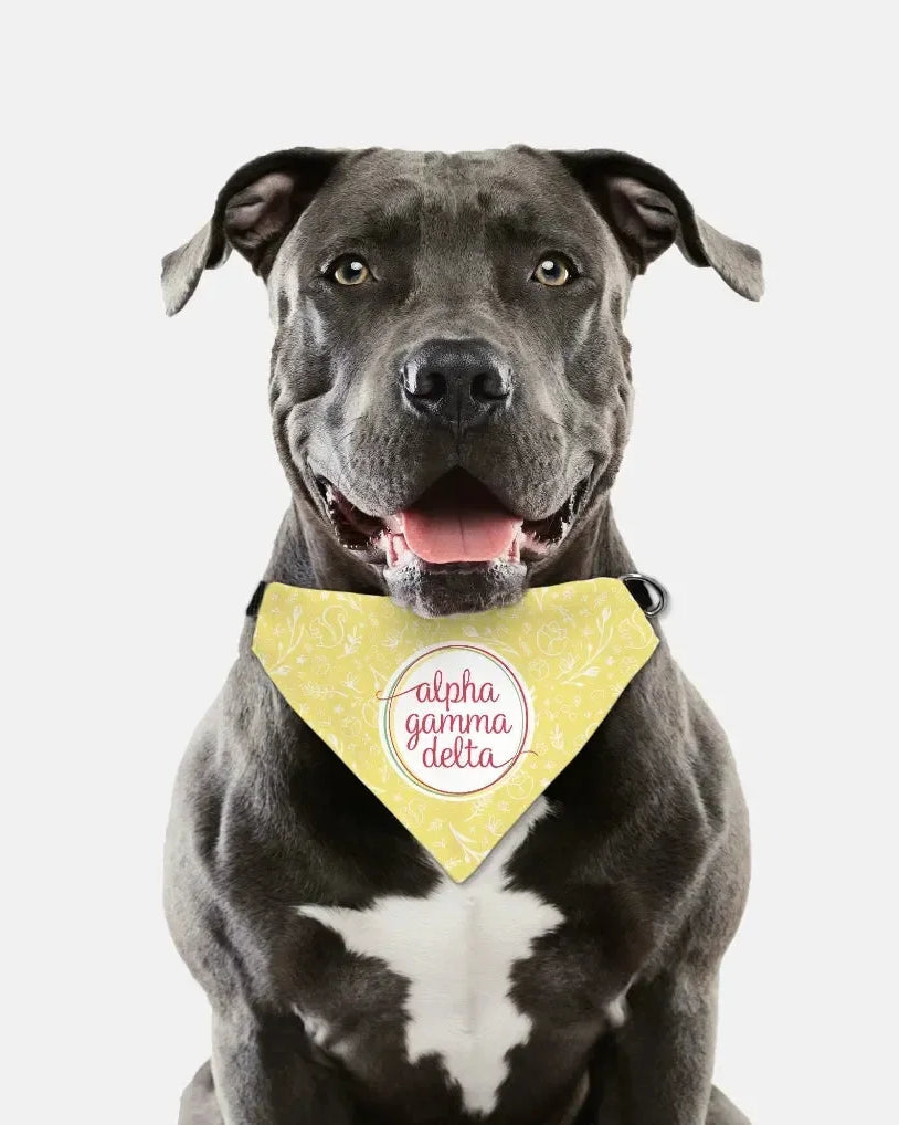 Alpha Gamma Delta Pet Bandana - Buff Combo Pattern Pet Bandanas