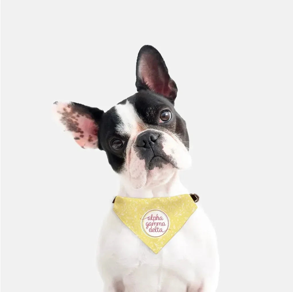 Alpha Gamma Delta Pet Bandana - Buff Combo Pattern Pet Bandanas