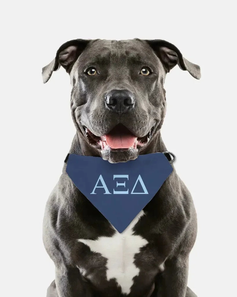 Alpha Xi Delta Pet Bandana - Greek Letters Pet Bandanas
