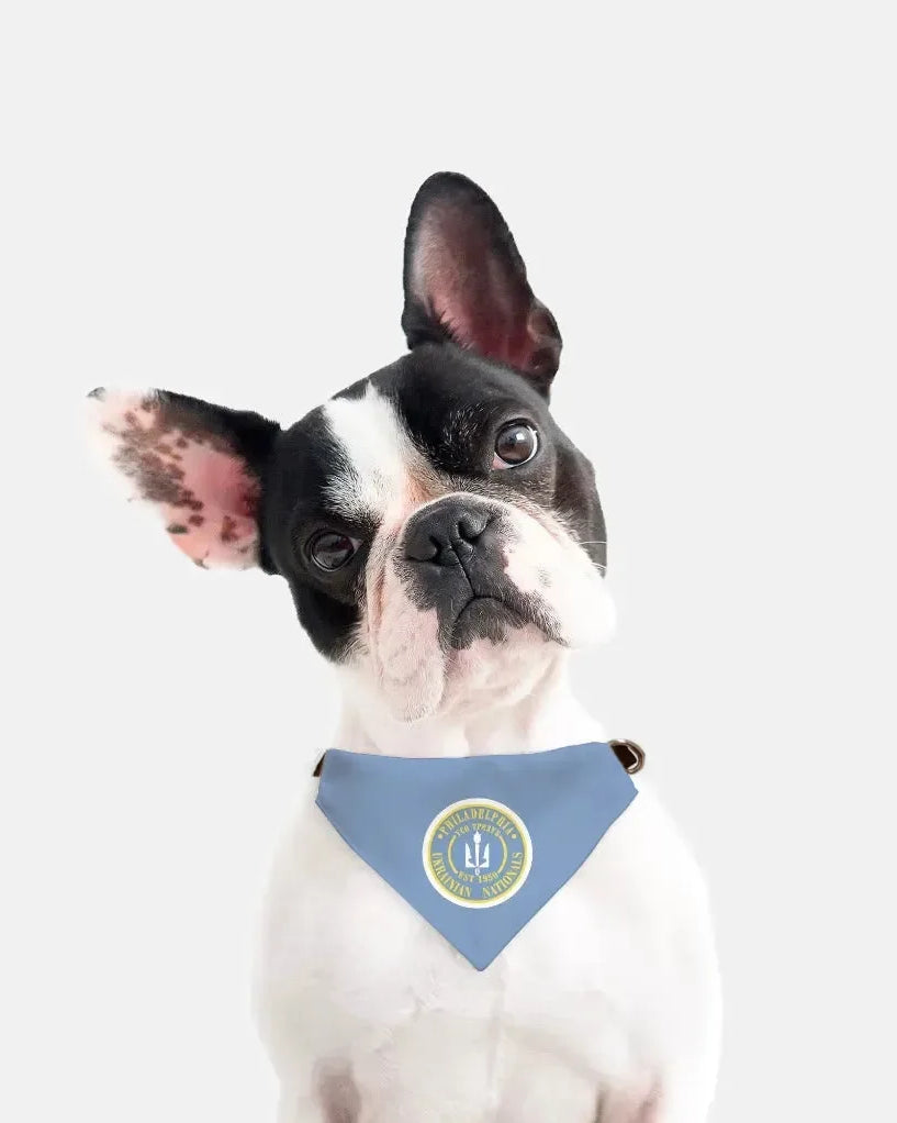 Philadelphia Ukrainian Nationals Blue Pet Bandana
