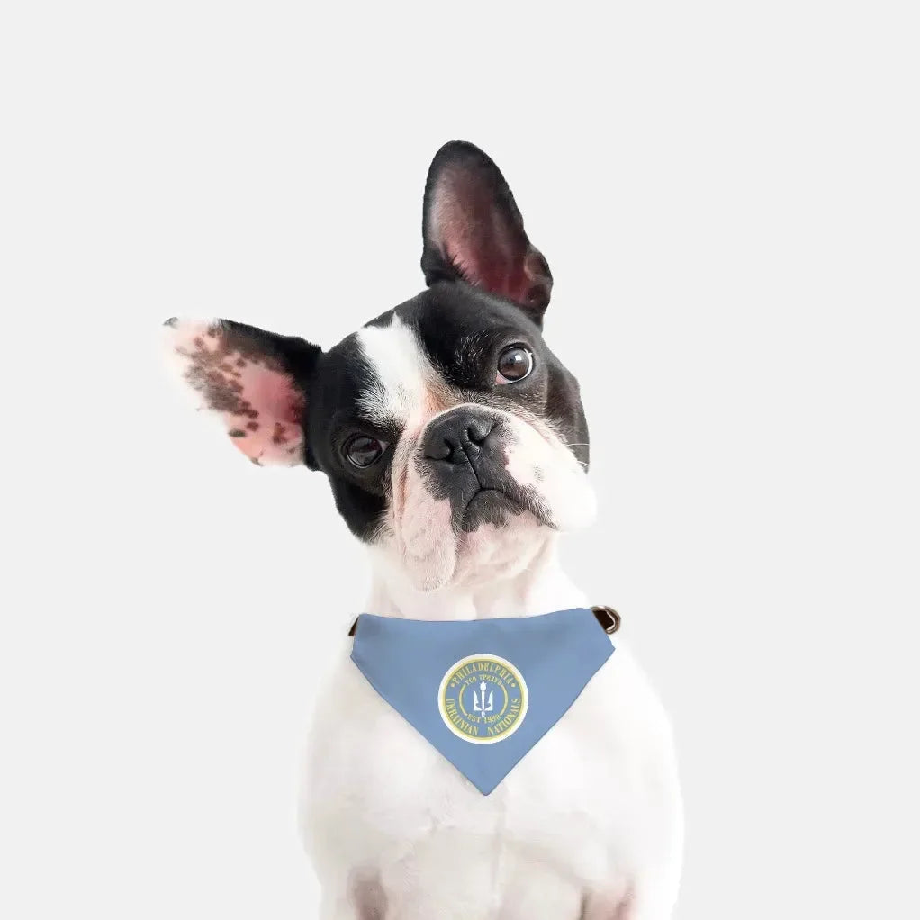 Philadelphia Ukrainian Nationals Blue Pet Bandana