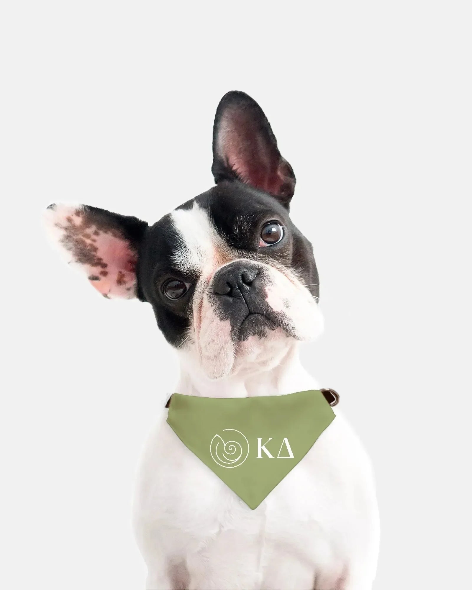 Kappa Delta Pet Bandana - Kaydee Greek Letters Pet Bandanas