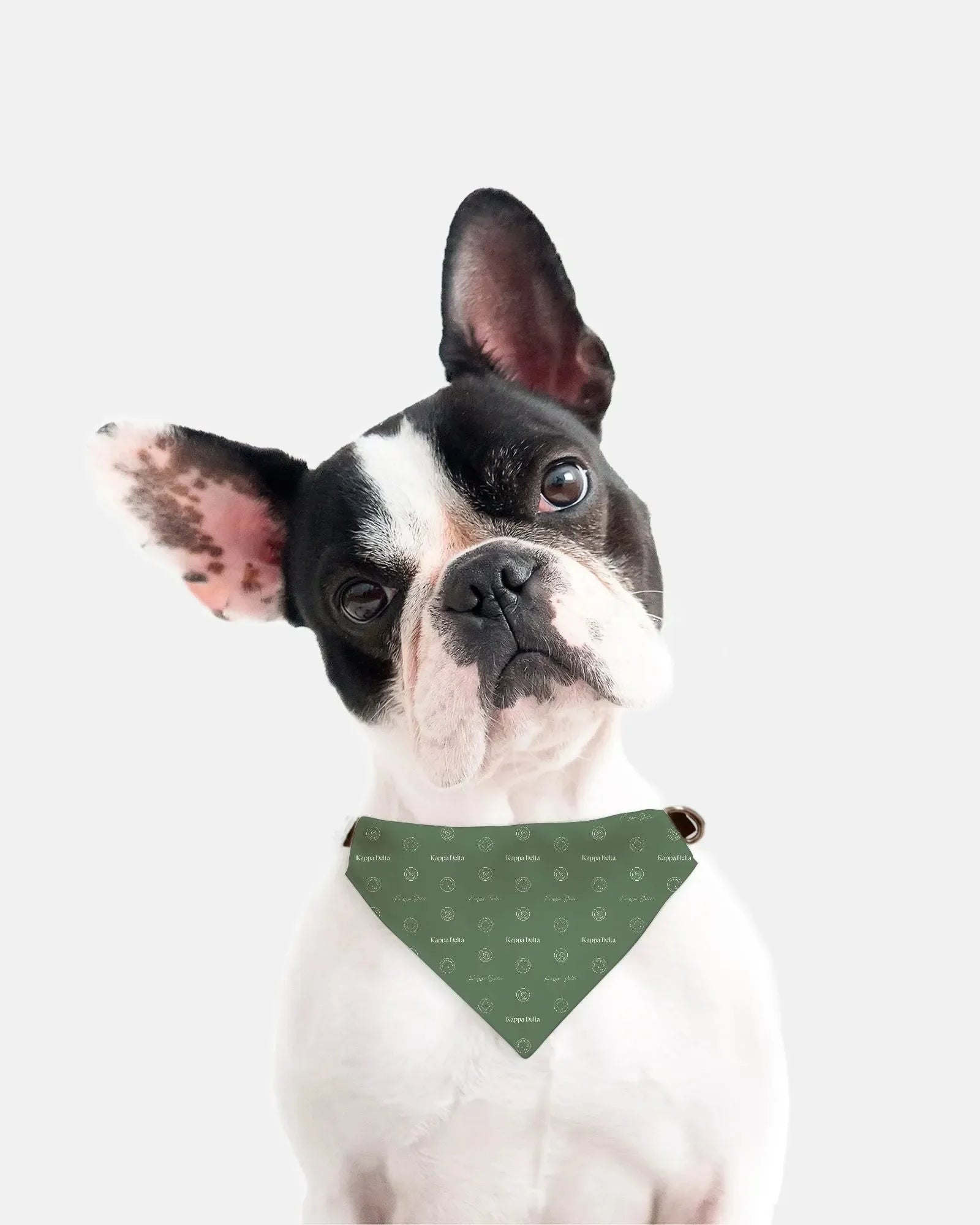 Kappa Delta Pet Bandana - Traditional Pattern Pet Bandanas