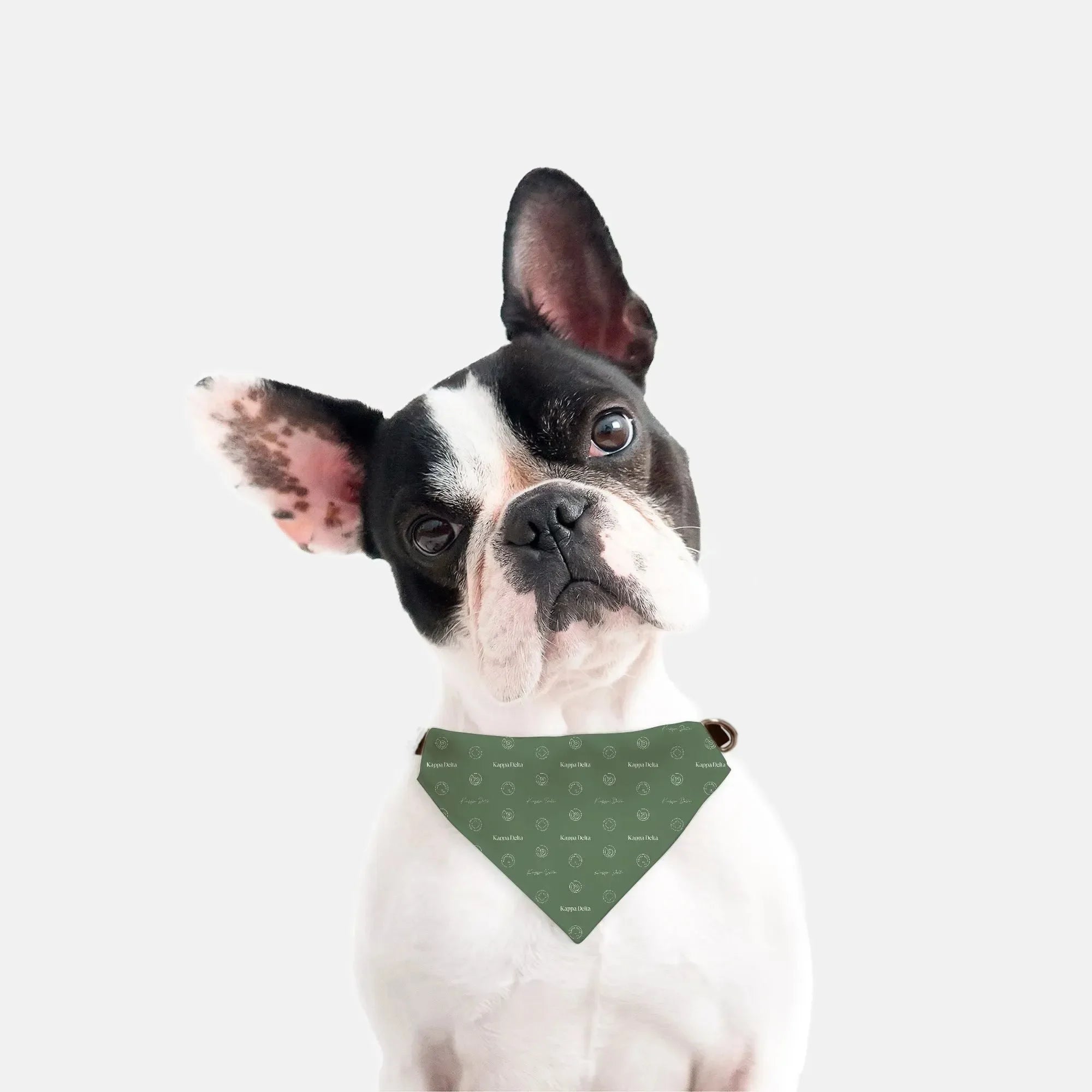 Kappa Delta Pet Bandana - Traditional Pattern Pet Bandanas