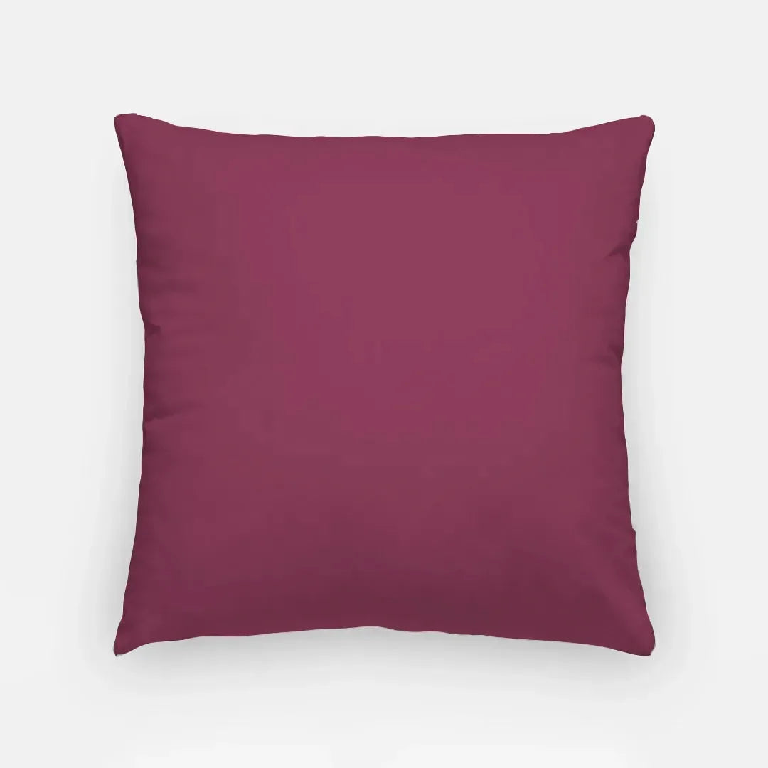 Alpha Phi 18" Throw Pillow Cover - Monogram Pillow Covers