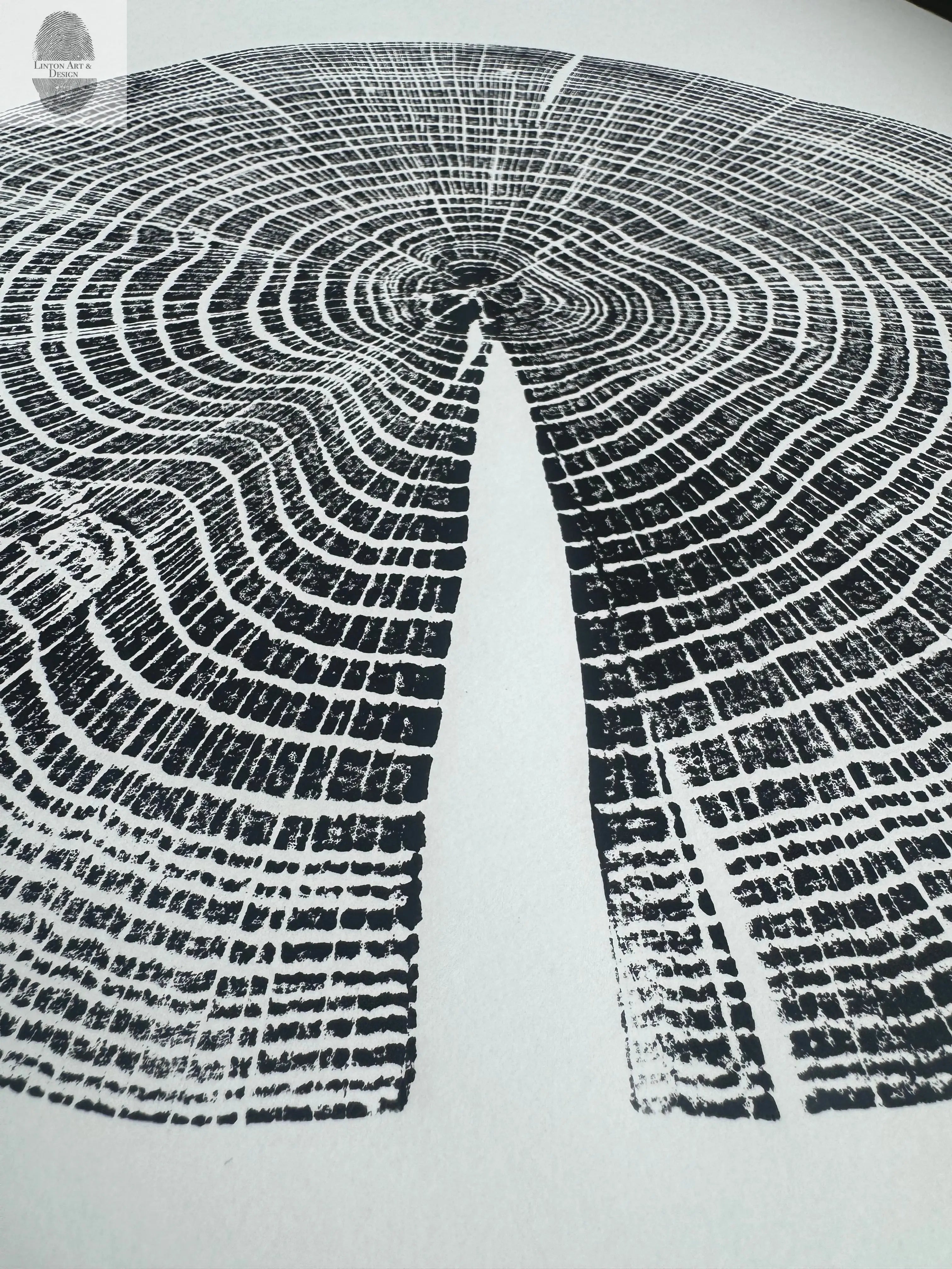 Red Oak Tree Ring Print – Spartanburg County, SC – 18x24 | Wall Art | Campus Greek Fit