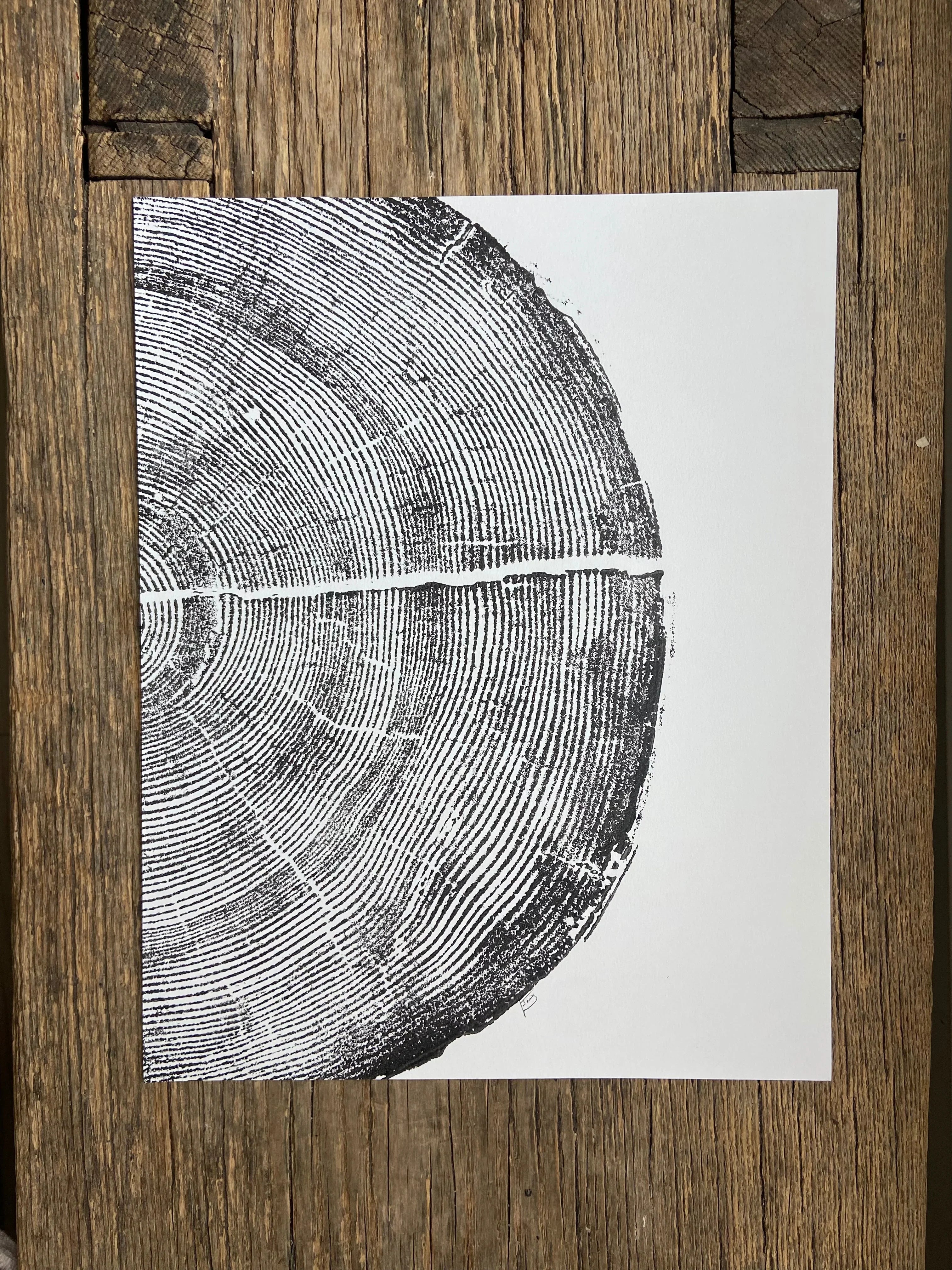 Rock Canyon Pine 11x14 inches - Limited Edition | Guys Dorm Room