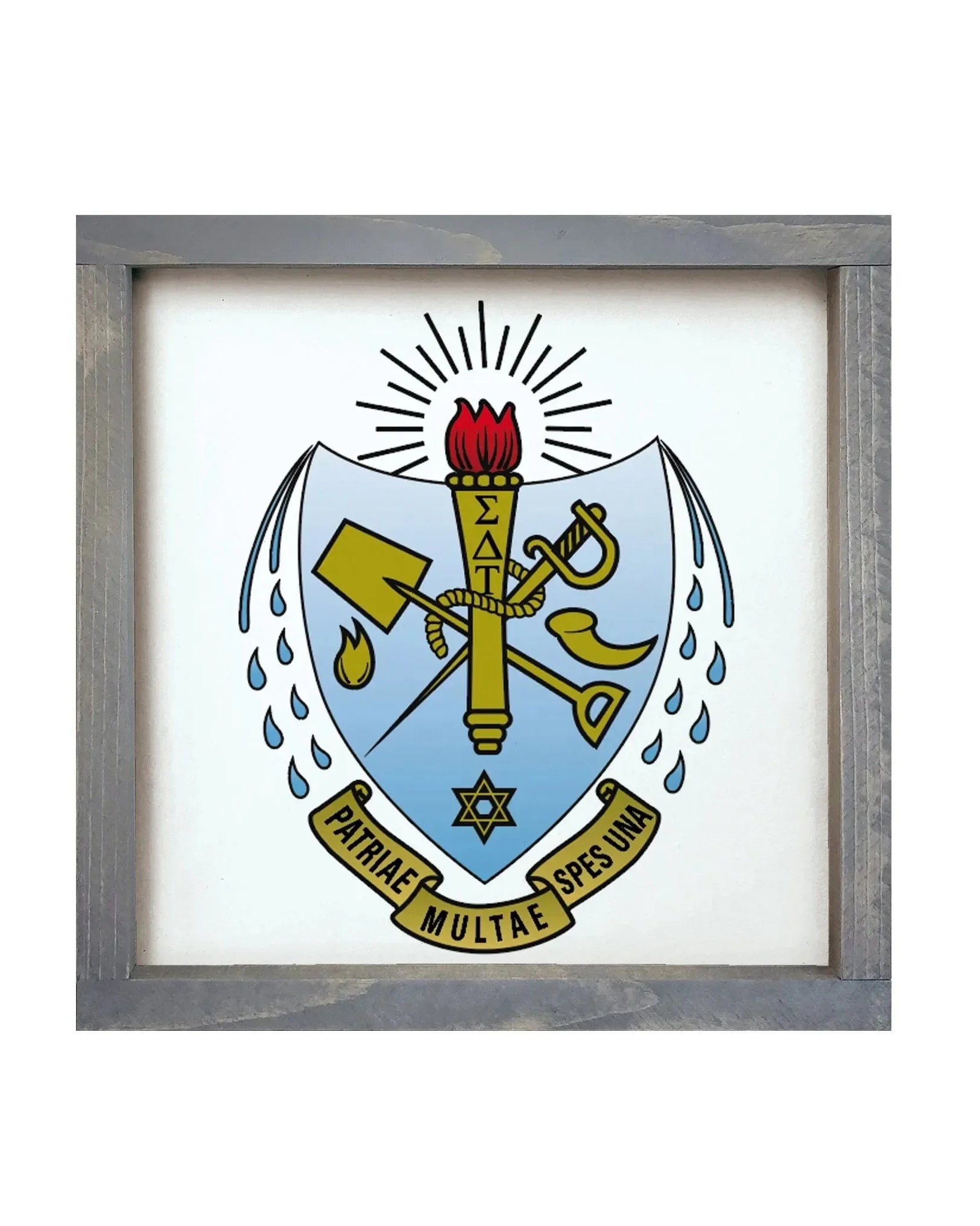 Sigma Delta Tau 12x12 Wood Framed Sign - Traditional Crest Weathered Gray Wall Art & Signs