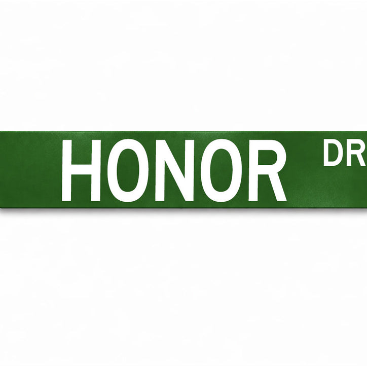 Sigma Nu Honor Metal Street Dorm Sign