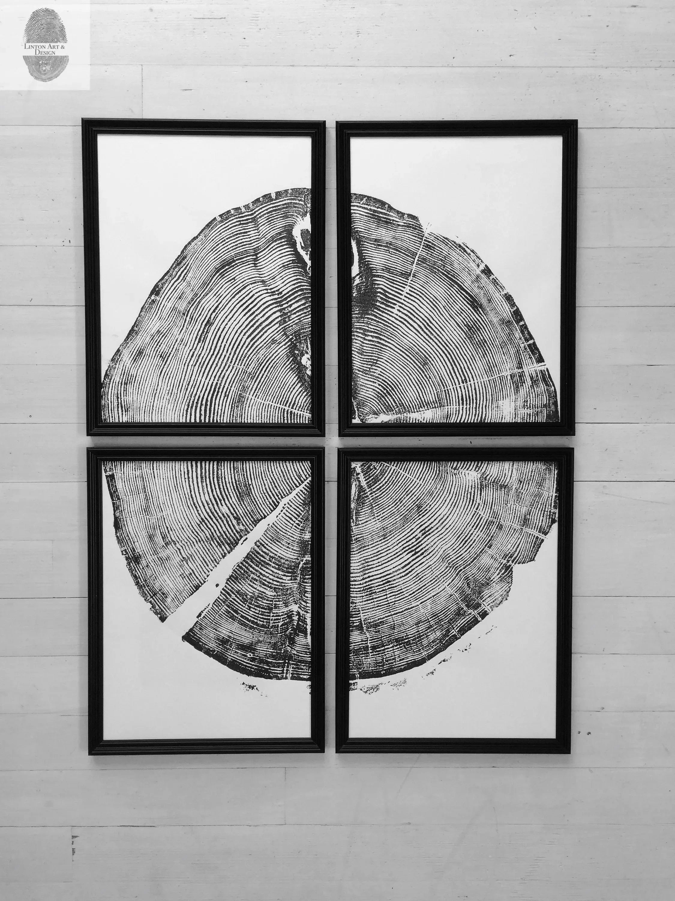 White Pine Set of 4 - 12x16 each print | Sundance Canyon, Utah | Art | Campus Greek Fit