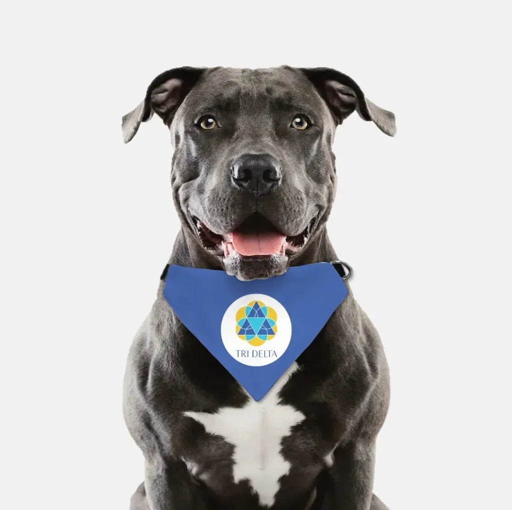 Tri Delta Pet Bandana - Blue Pet Bandanas