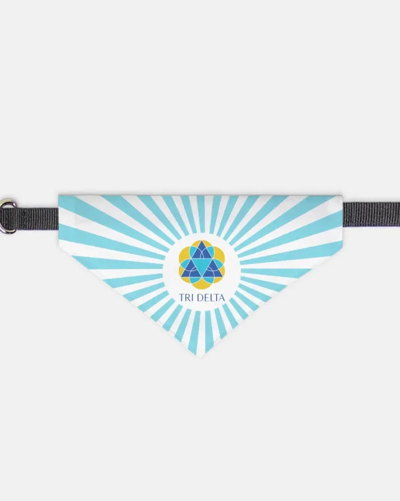 Tri Delta Pet Bandana - Bright Blue Starburst Pet Bandanas