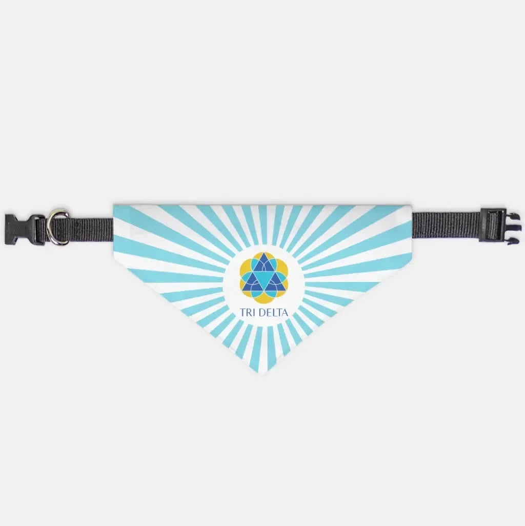 Tri Delta Pet Bandana - Bright Blue Starburst Pet Bandanas