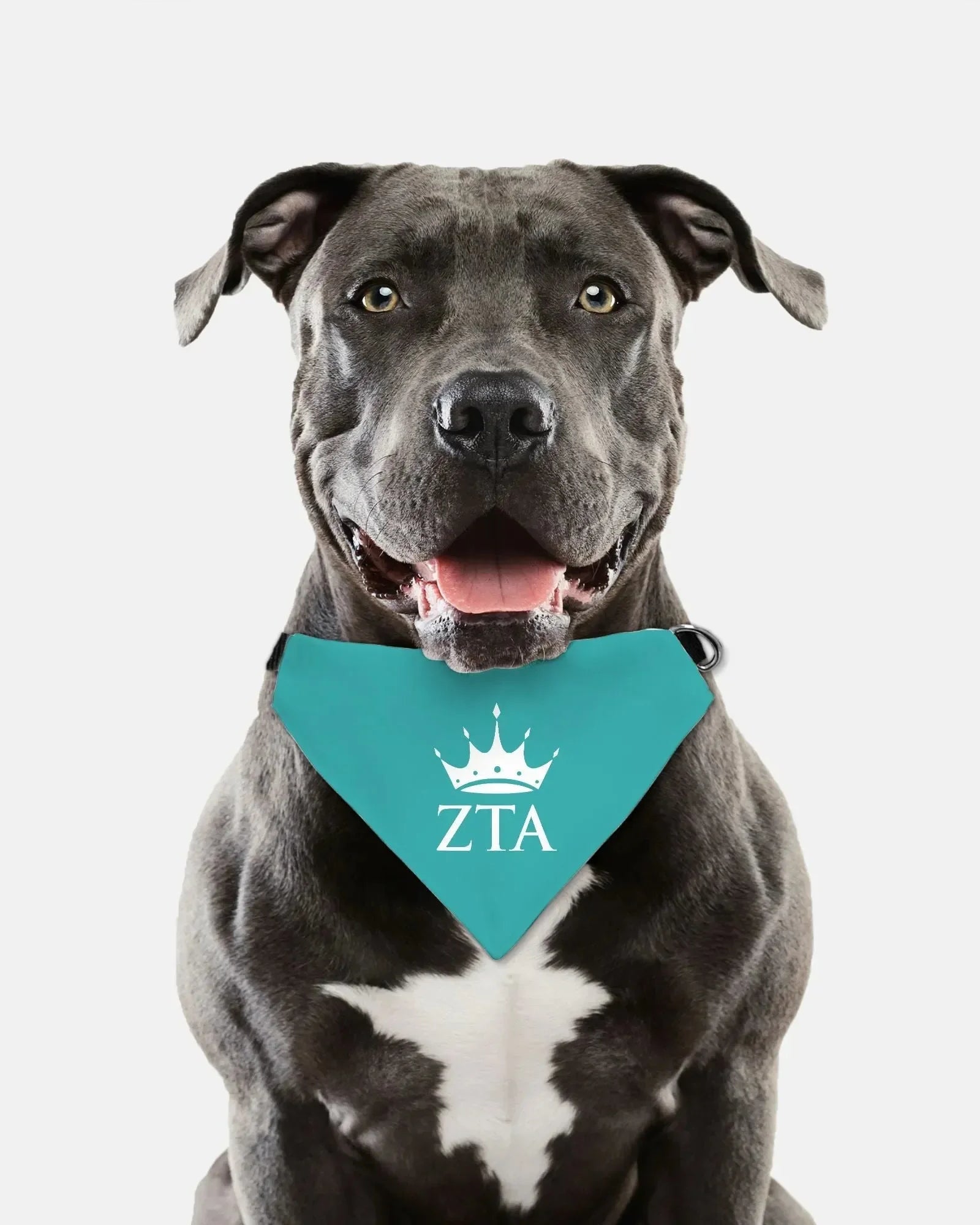 Zeta Tau Alpha Pet Bandana Pet Bandanas