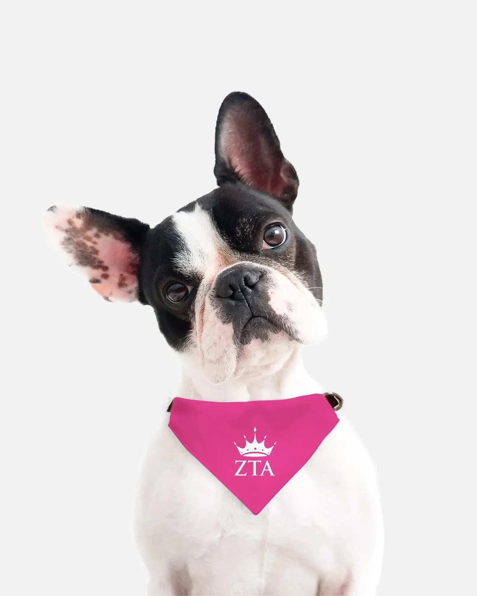 Zeta Tau Alpha Pet Bandana Pet Bandanas