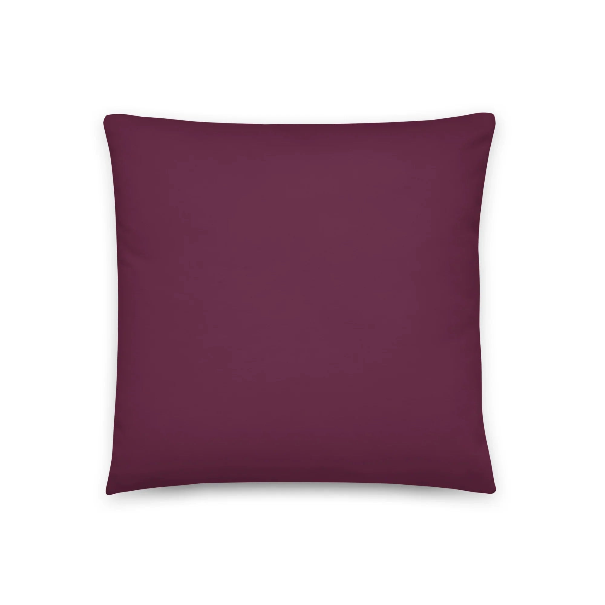 Sigma Kappa Greek Letter Icon Throw Pillow | Sig Kap Gifts