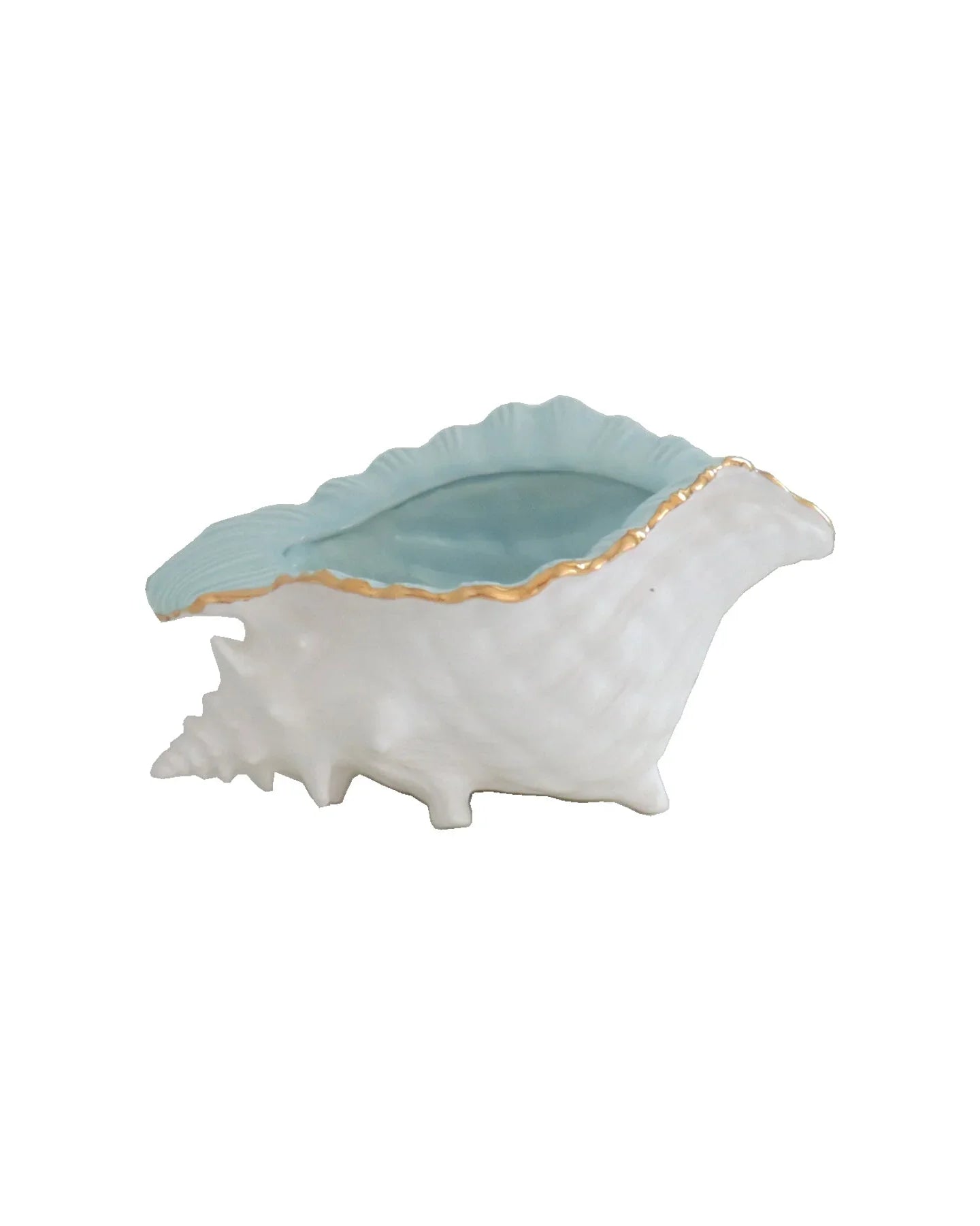 Conch Bowl with Gold Accent | Coastal Dorm Decor & Accessories - Campus Greek Fit
