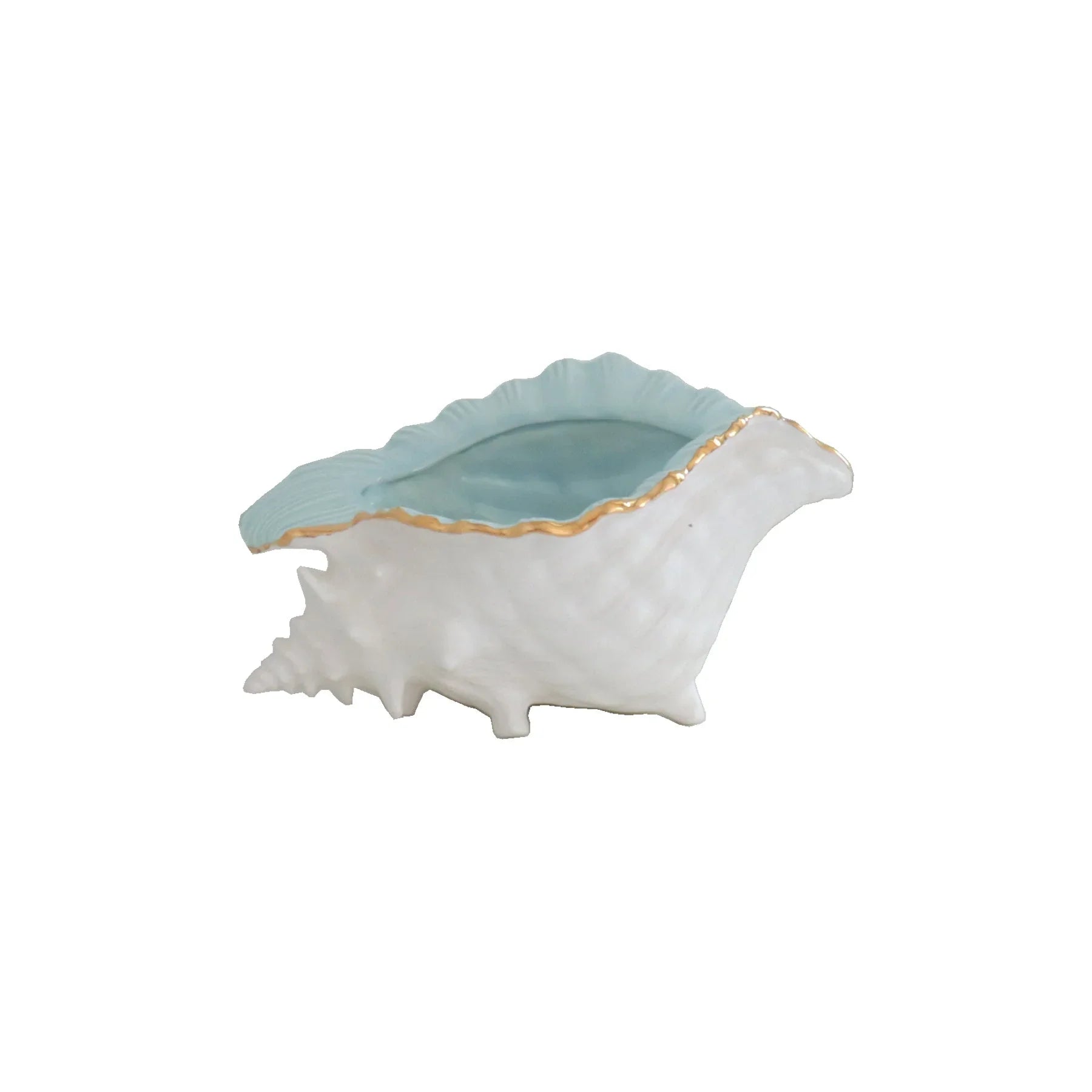 Conch Bowl with Gold Accent | Coastal Dorm Decor & Accessories - Campus Greek Fit