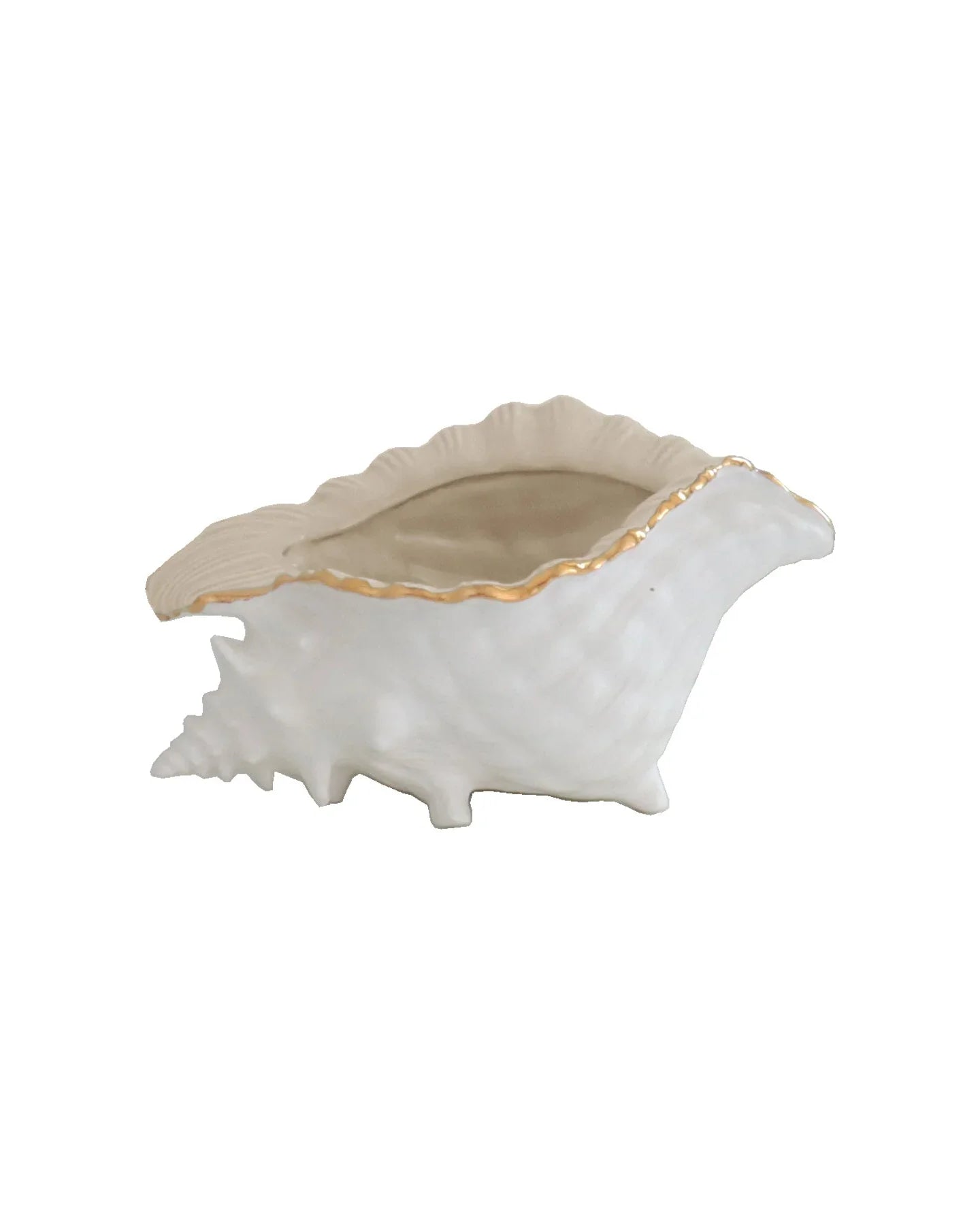 Conch Bowl with Gold Accent | Coastal Dorm Decor & Accessories - Campus Greek Fit