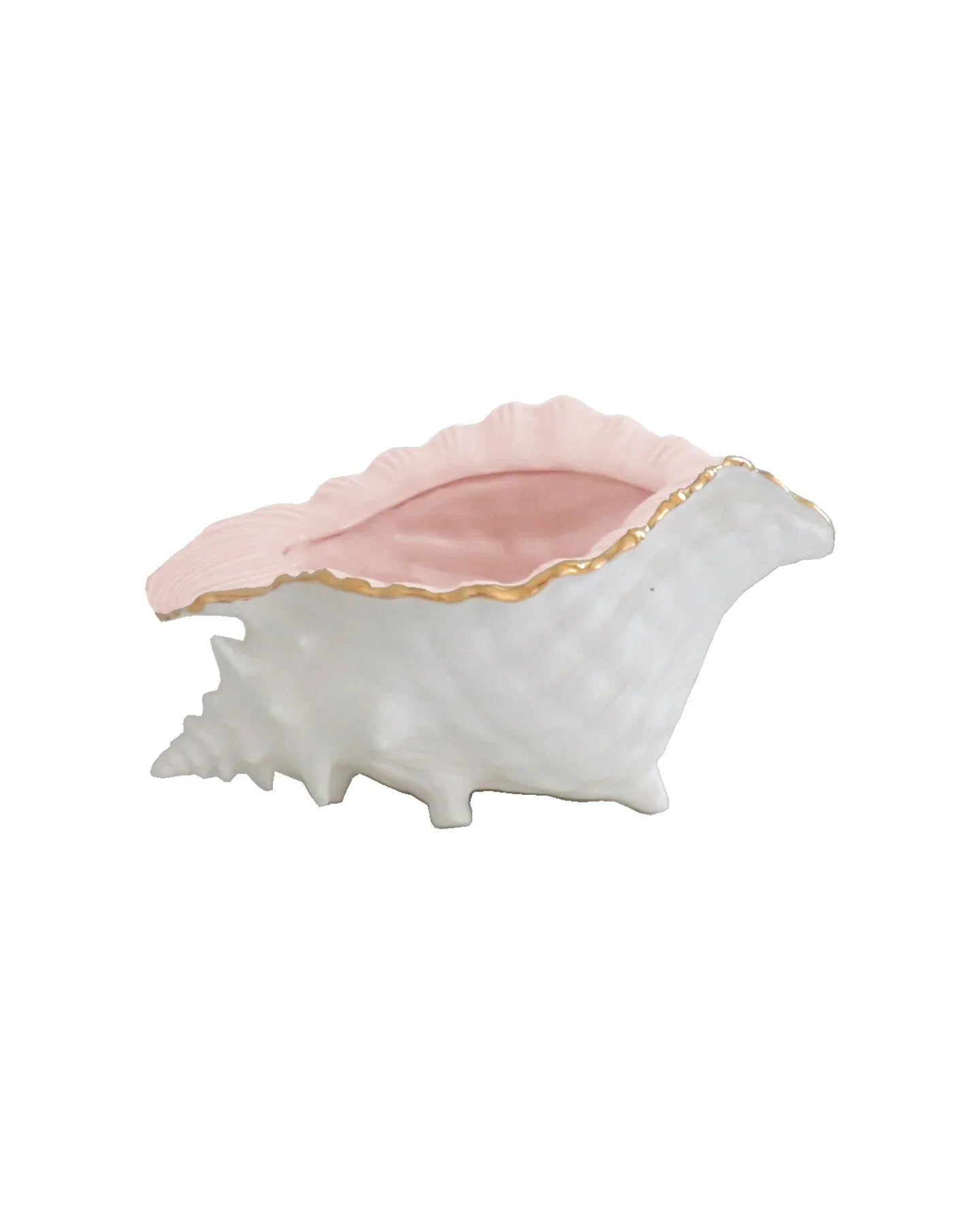 Conch Bowl with Gold Accent | Coastal Dorm Decor & Accessories - Campus Greek Fit