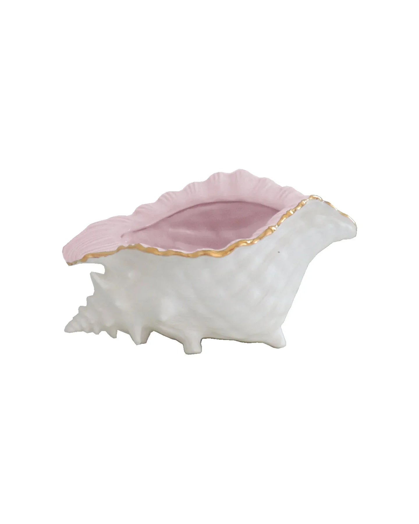 Conch Bowl with Gold Accent | Coastal Dorm Decor & Accessories - Campus Greek Fit