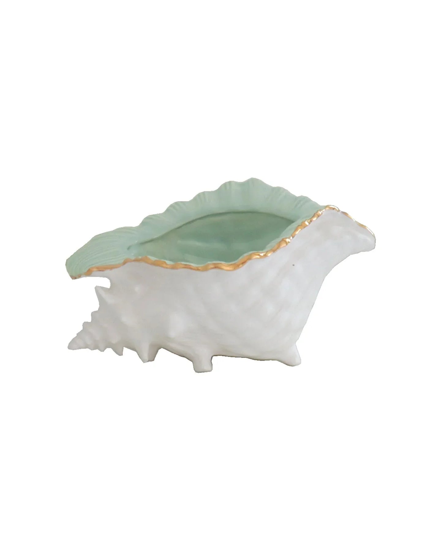 Conch Bowl with Gold Accent | Coastal Dorm Decor & Accessories - Campus Greek Fit