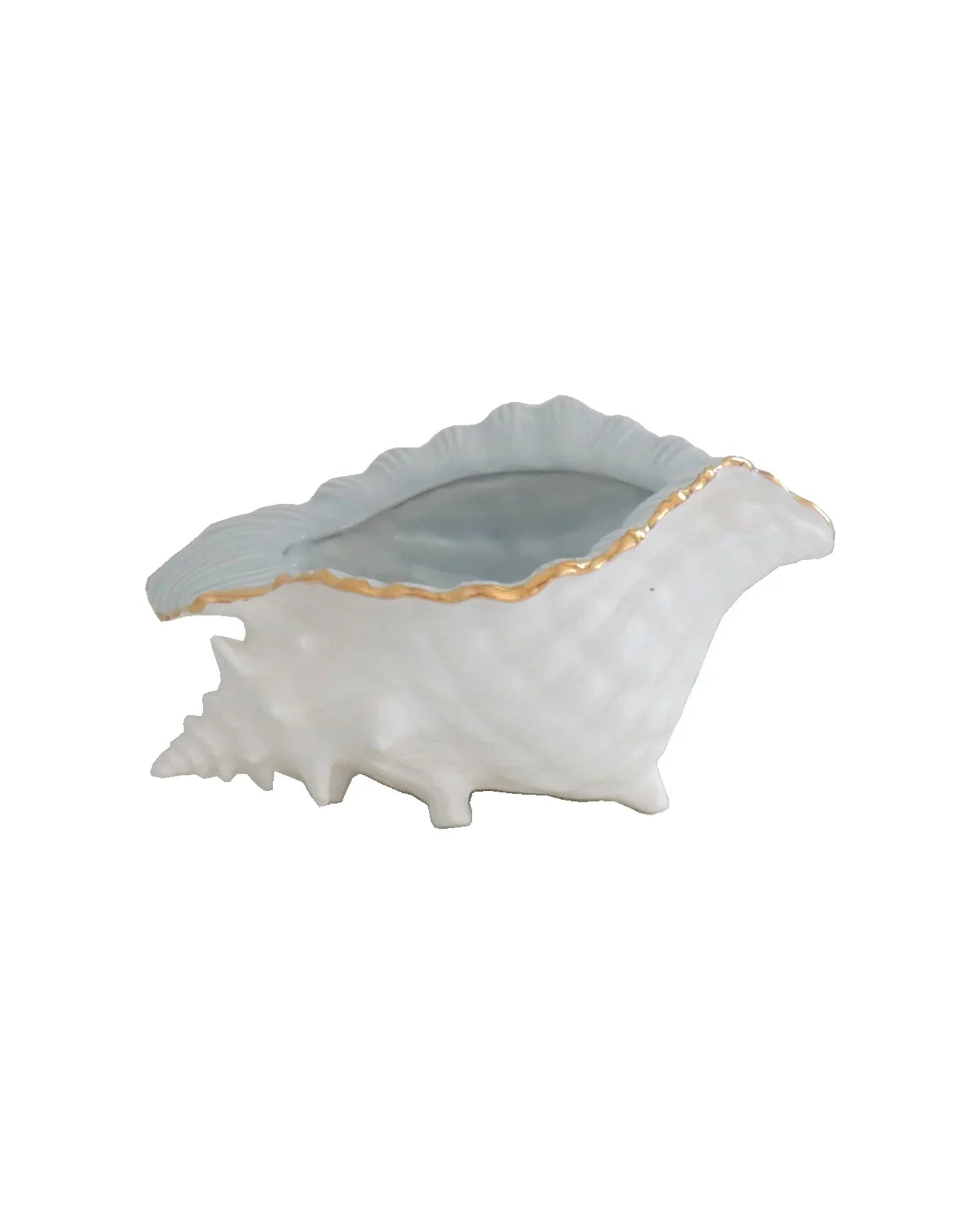 Conch Bowl with Gold Accent | Coastal Dorm Decor & Accessories - Campus Greek Fit