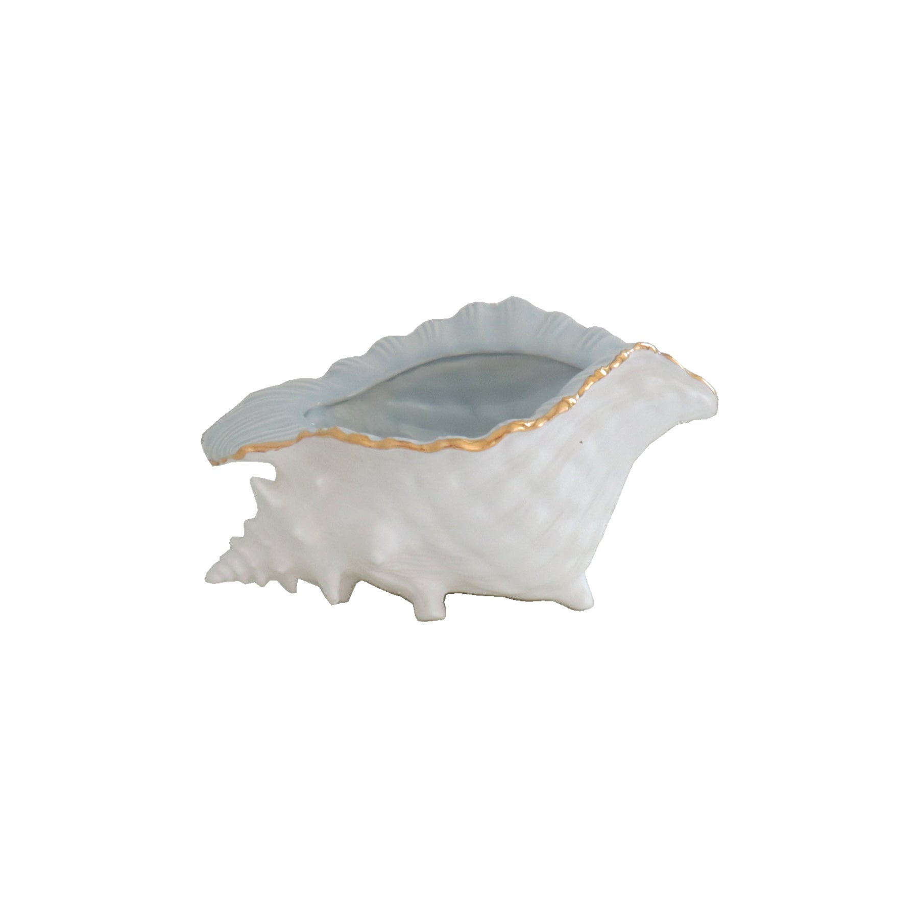 Conch Bowl with Gold Accent | Coastal Dorm Decor & Accessories - Campus Greek Fit