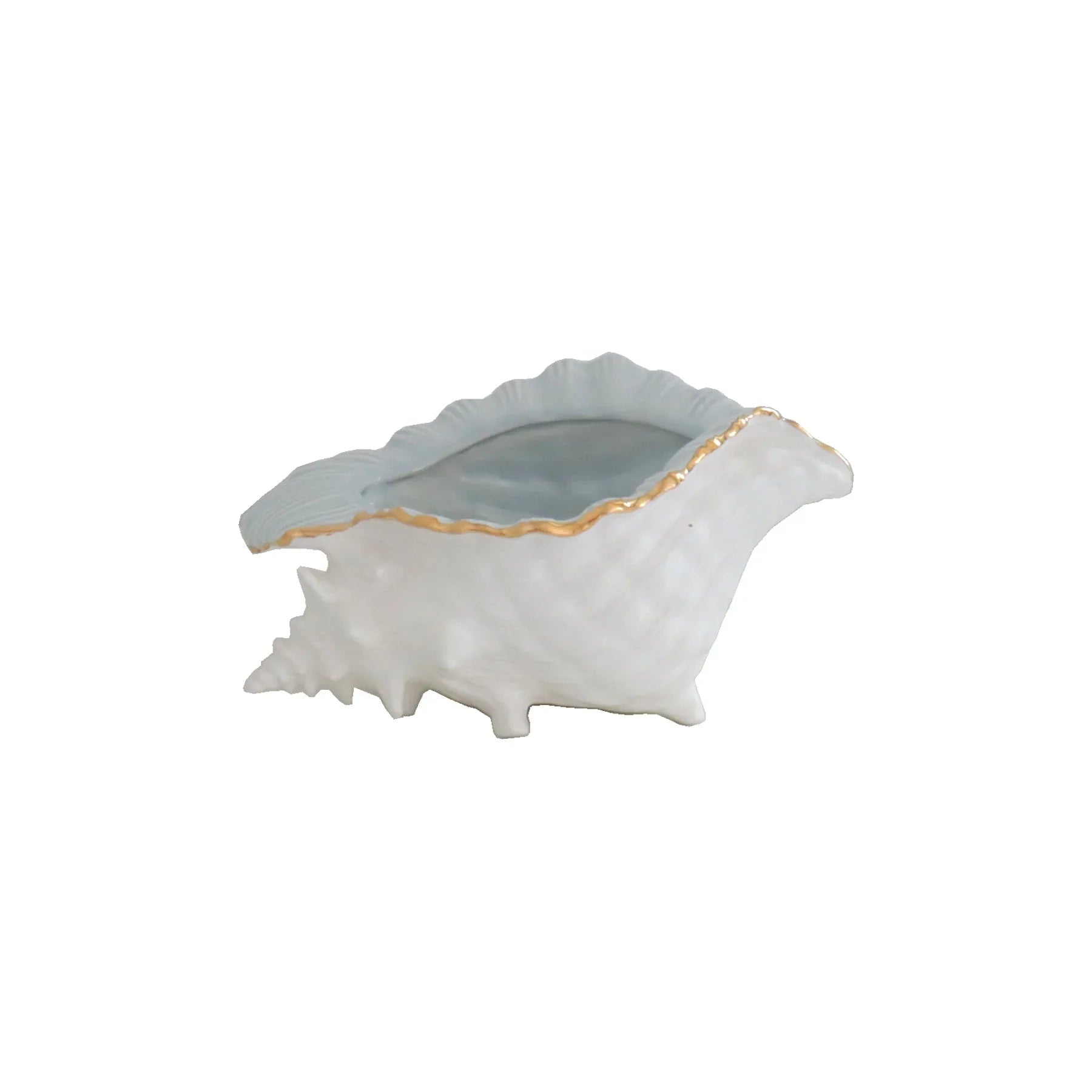 Conch Bowl with Gold Accent | Coastal Dorm Decor & Accessories - Campus Greek Fit