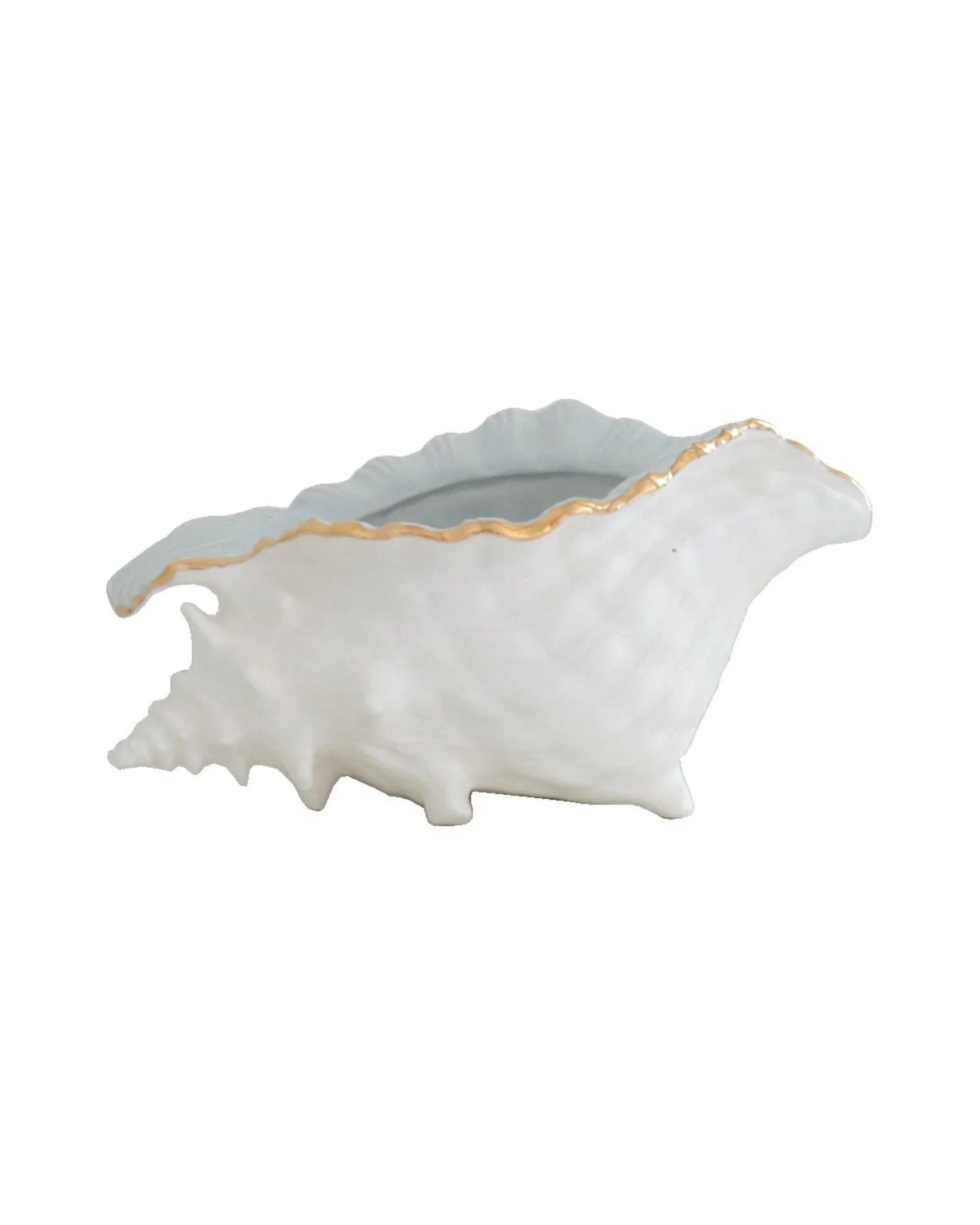 Conch Bowl with Gold Accent | Coastal Dorm Decor & Accessories - Campus Greek Fit