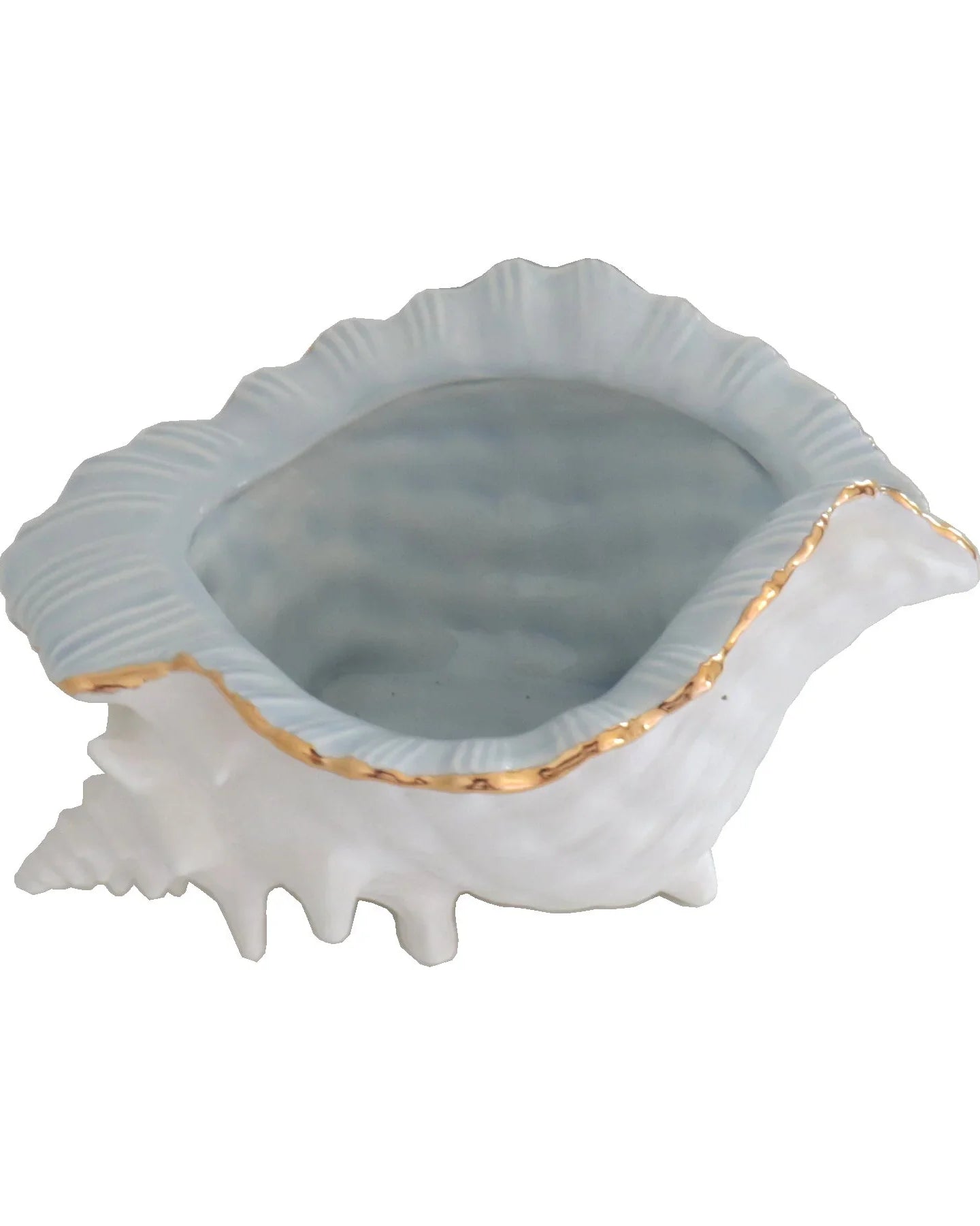 Conch Bowl with Gold Accent | Coastal Dorm Decor & Accessories - Campus Greek Fit