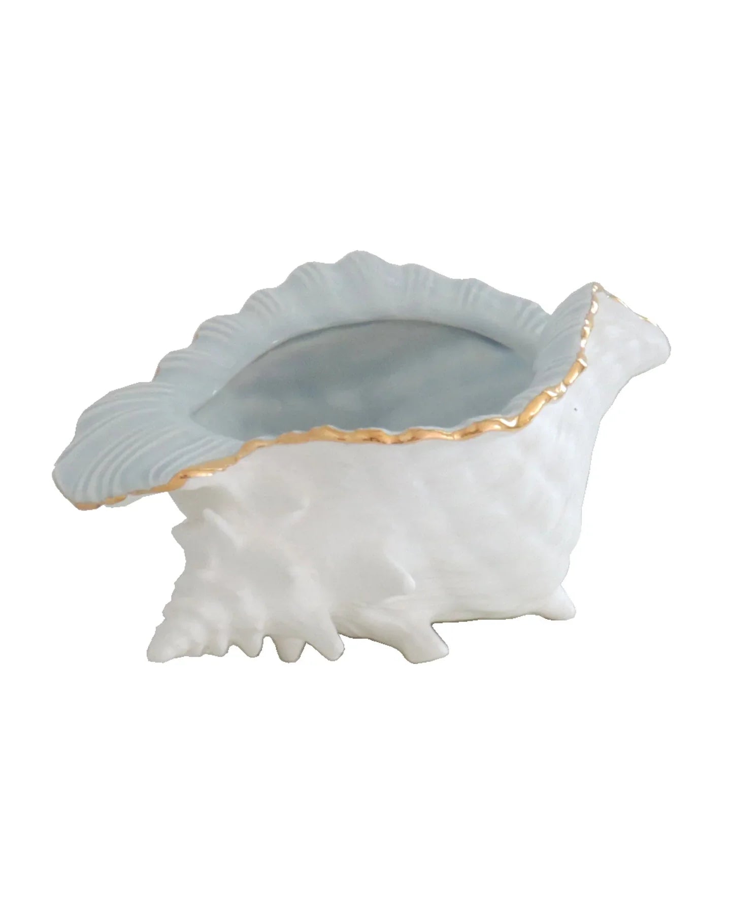Conch Bowl with Gold Accent | Coastal Dorm Decor & Accessories