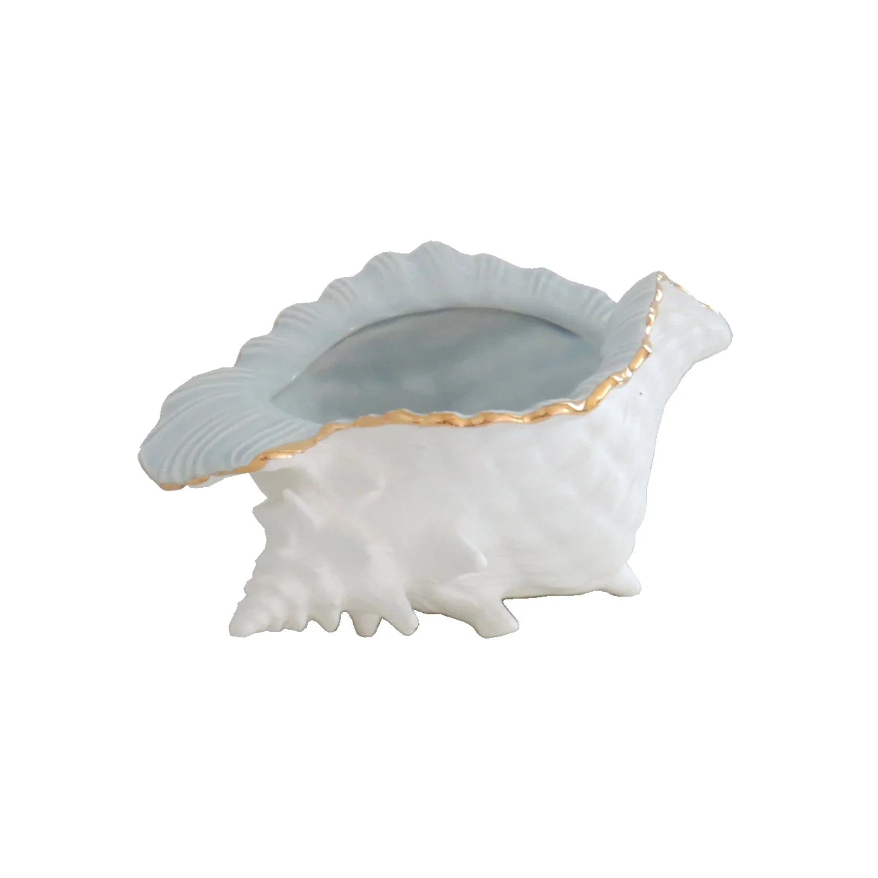 Conch Bowl with Gold Accent | Coastal Dorm Decor & Accessories