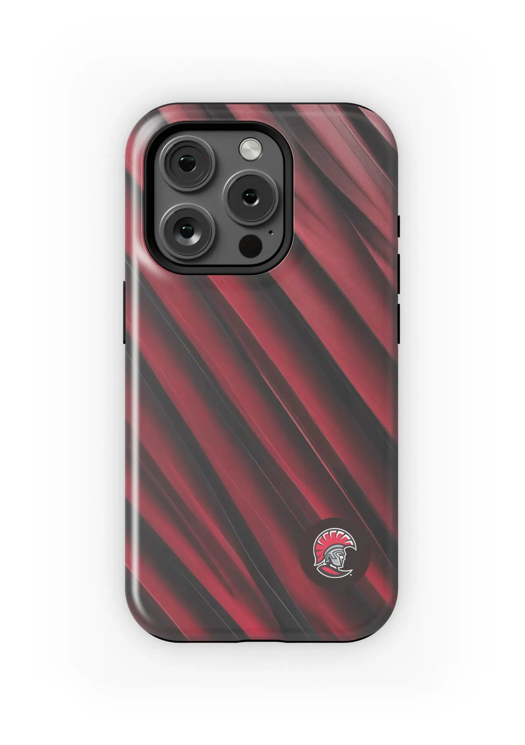 University of Tampa iPhone 15, 14, 13 Mobile Phone Case - Wave Matte Mobile Phone Cases