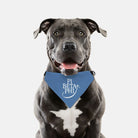 Pi Beta Phi Pet Bandana | Official Pi Phi Merch | Custom Gifts | Decor