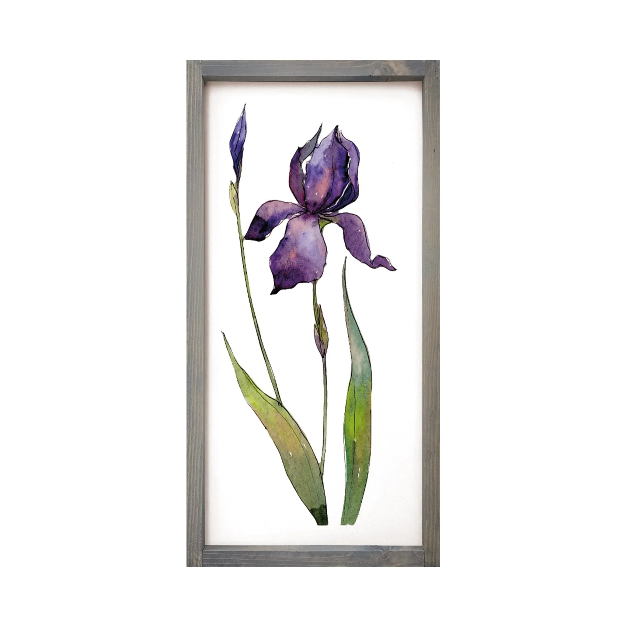 Purple Iris Art Framed Wood Sign - 12"x24"