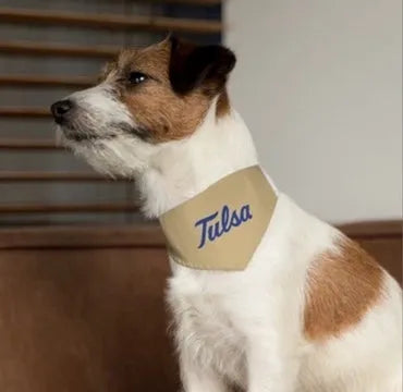 University of Tulsa Collar Pet Bandana - Gold Flag Pet Bandanas