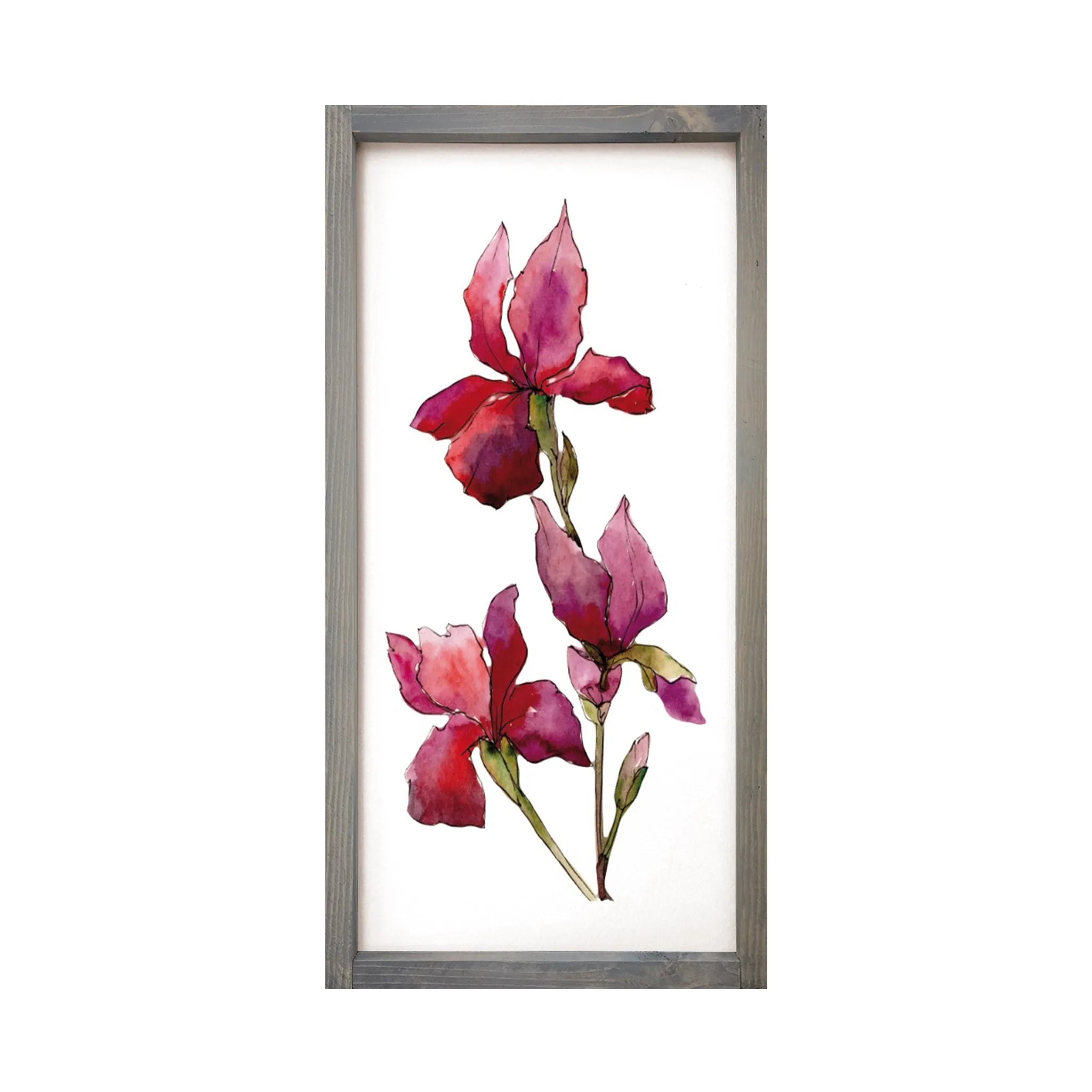 Magenta Iris Art Framed Wood Sign - 12"x24"