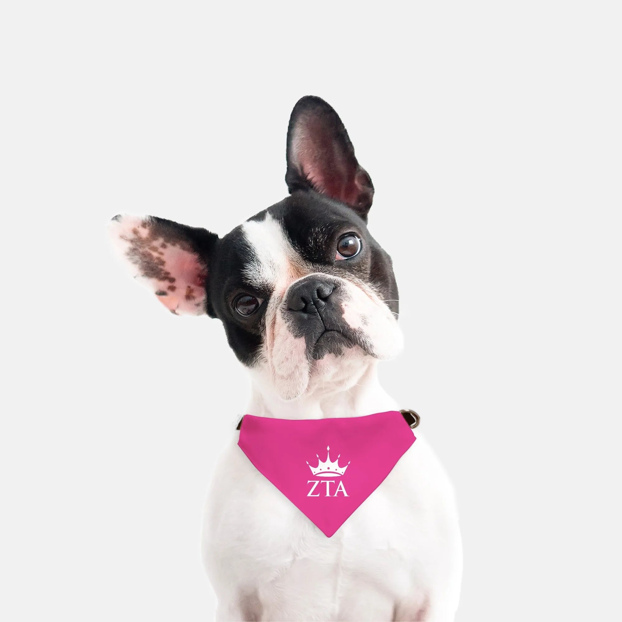 Zeta Tau Alpha Pet Bandana | Official ZTA Merch | Custom Zeta Gifts