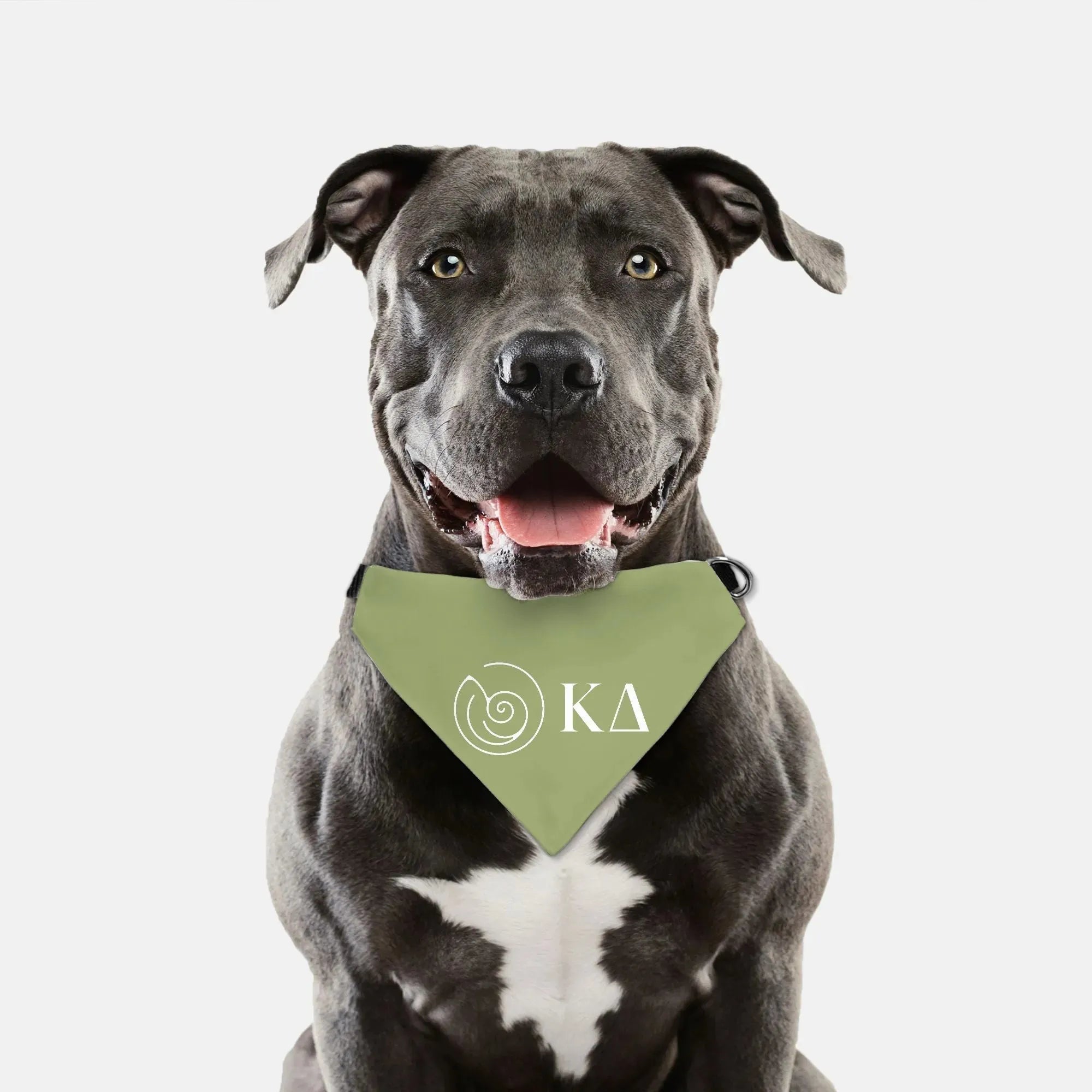 Kappa Delta Pet Bandana - Kaydee Greek Letters Pet Bandanas