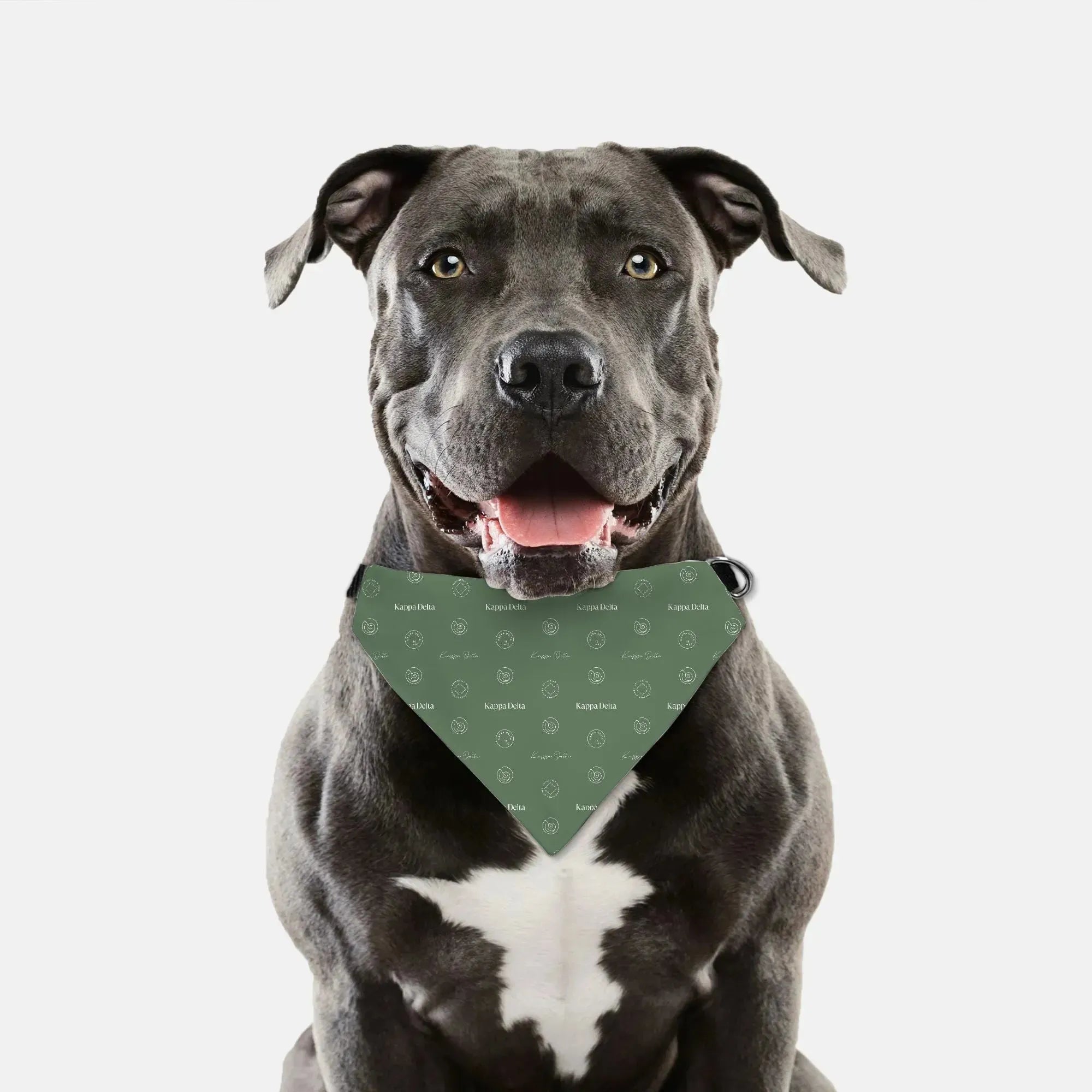 Kappa Delta Pet Bandana - Traditional Pattern Pet Bandanas