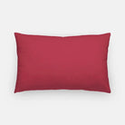 Alpha Gam Lumbar Throw Loving. Leading. Lasting. Combo