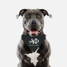 Alpha Phi Pet Bandana - Black Pet Bandanas