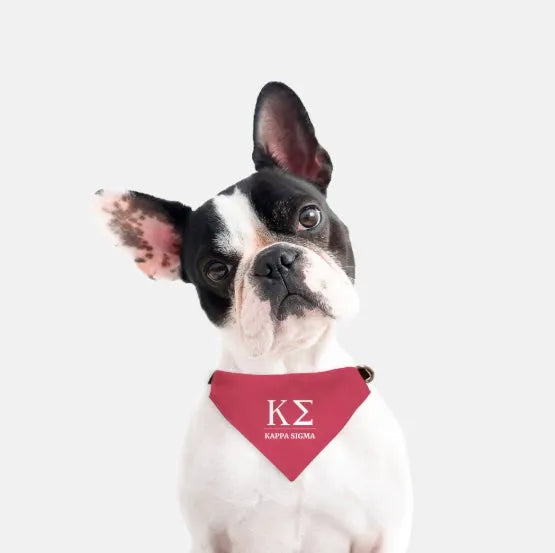Kappa Sigma Pet Bandana Pet Bandanas
