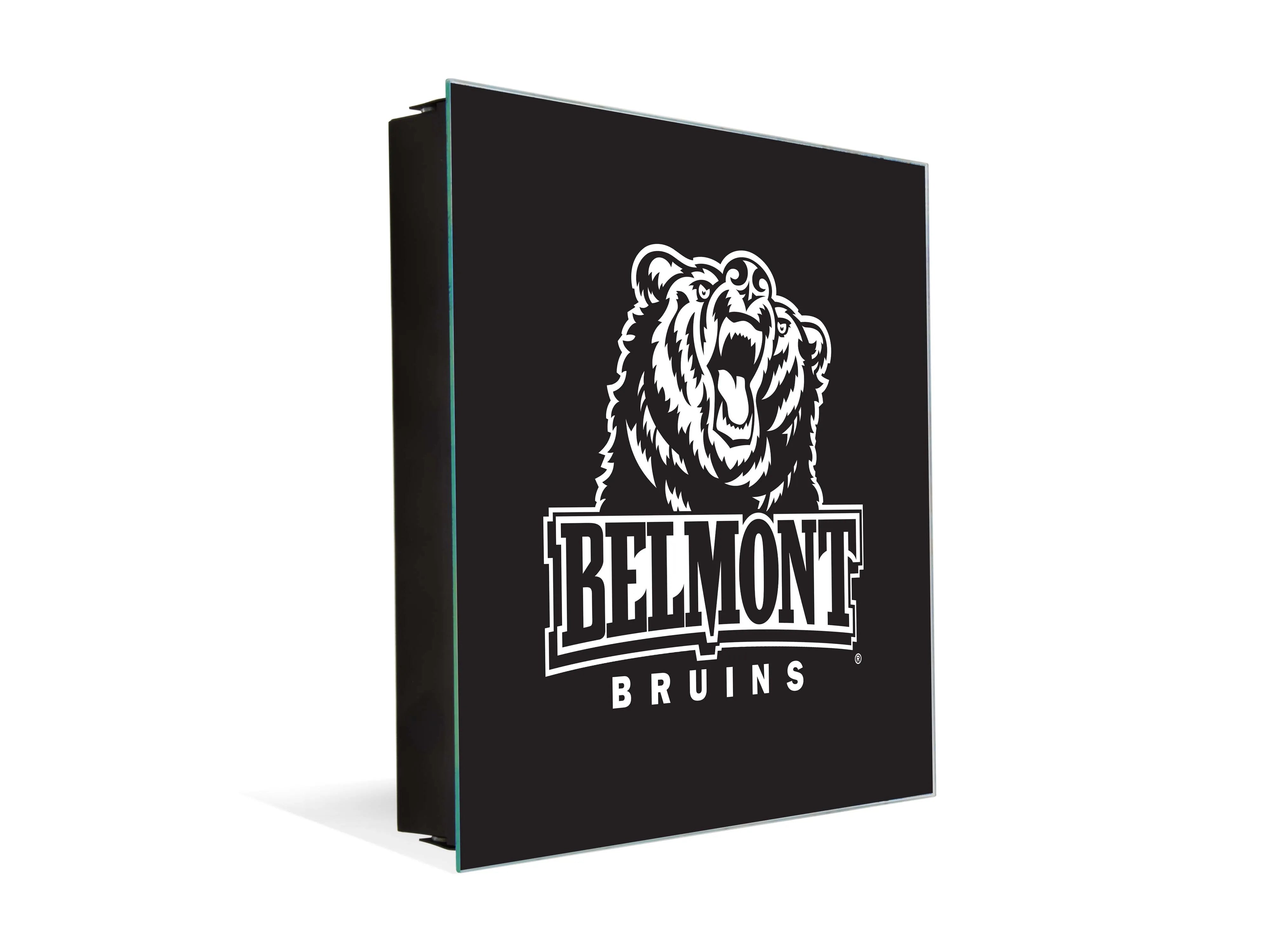 3-in-1 Belmont University Magnetic Dry-Erase Key Box  Key Cabinet - BU