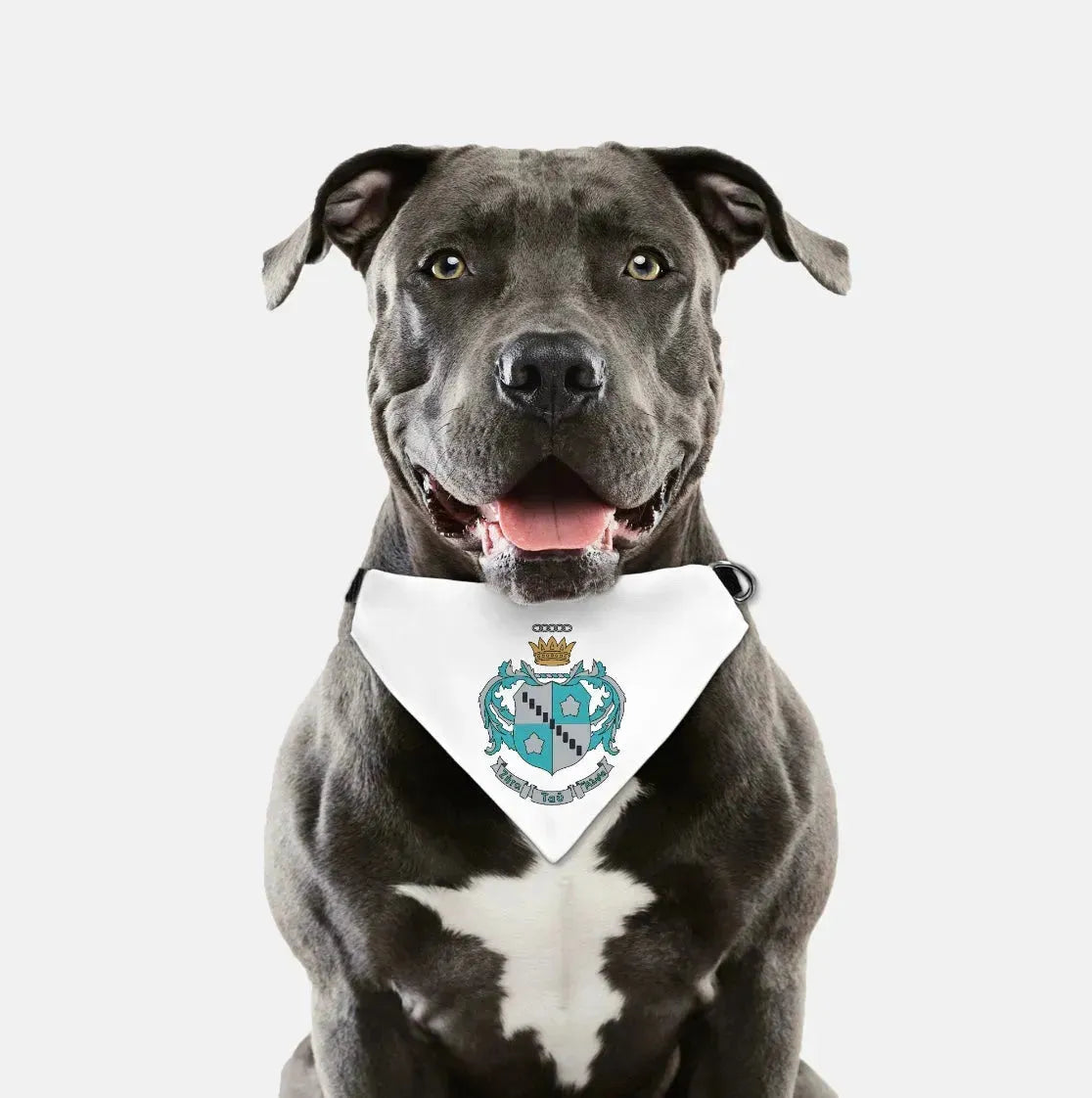 Zeta Tau Alpha Pet Bandana - Coat of Arms Pet Bandanas
